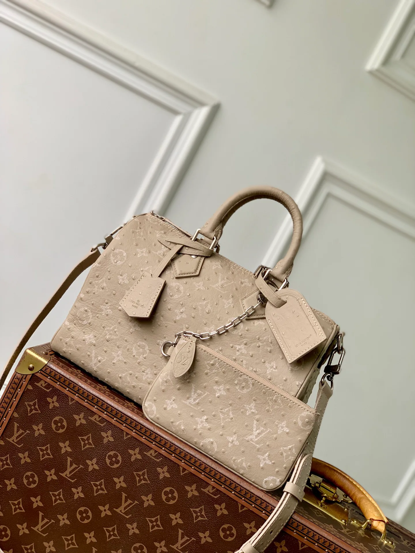 Классические Сумки Женские Louis Vuitton 18147441