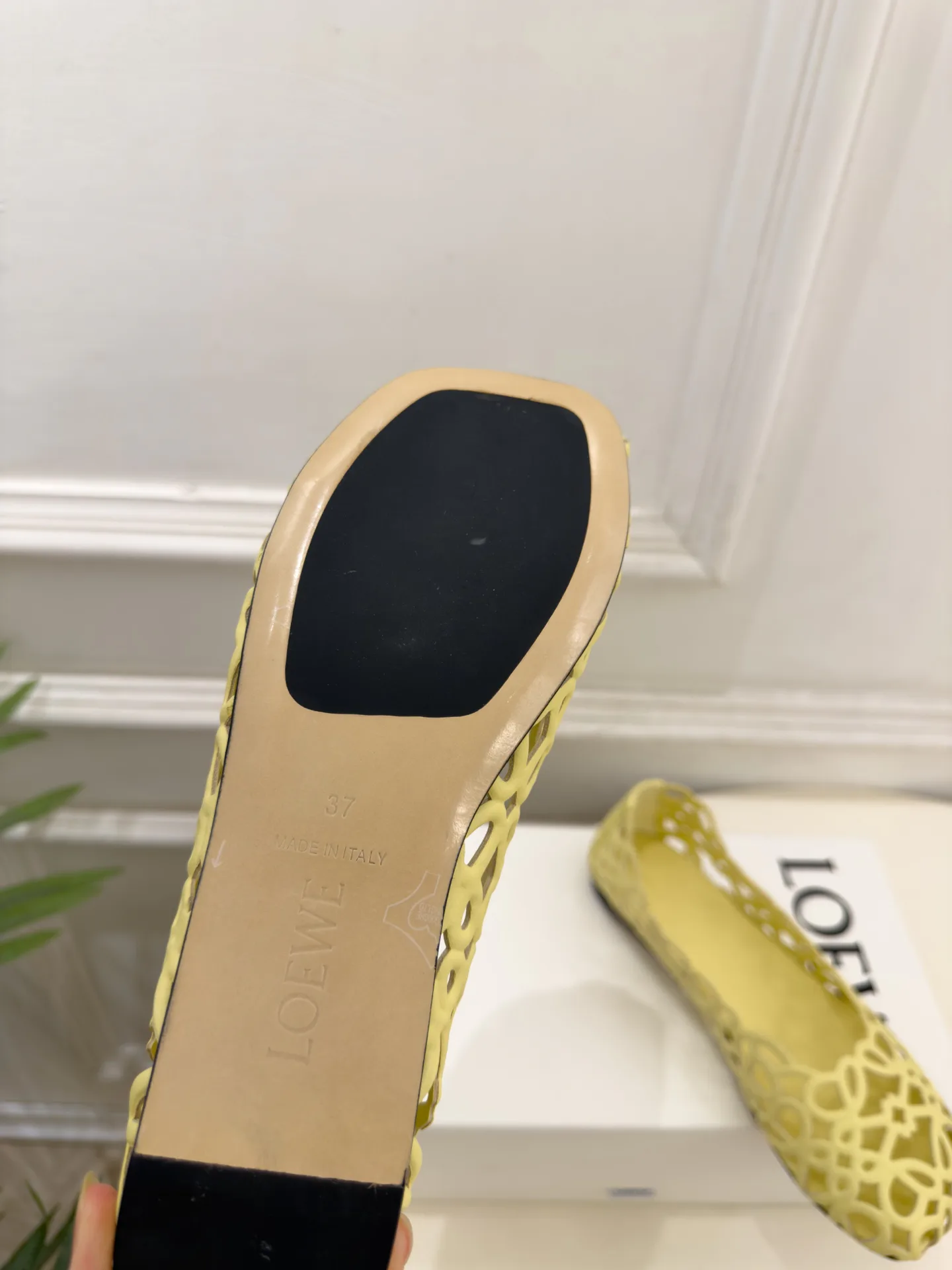 Балетки Женские Loewe 18198362