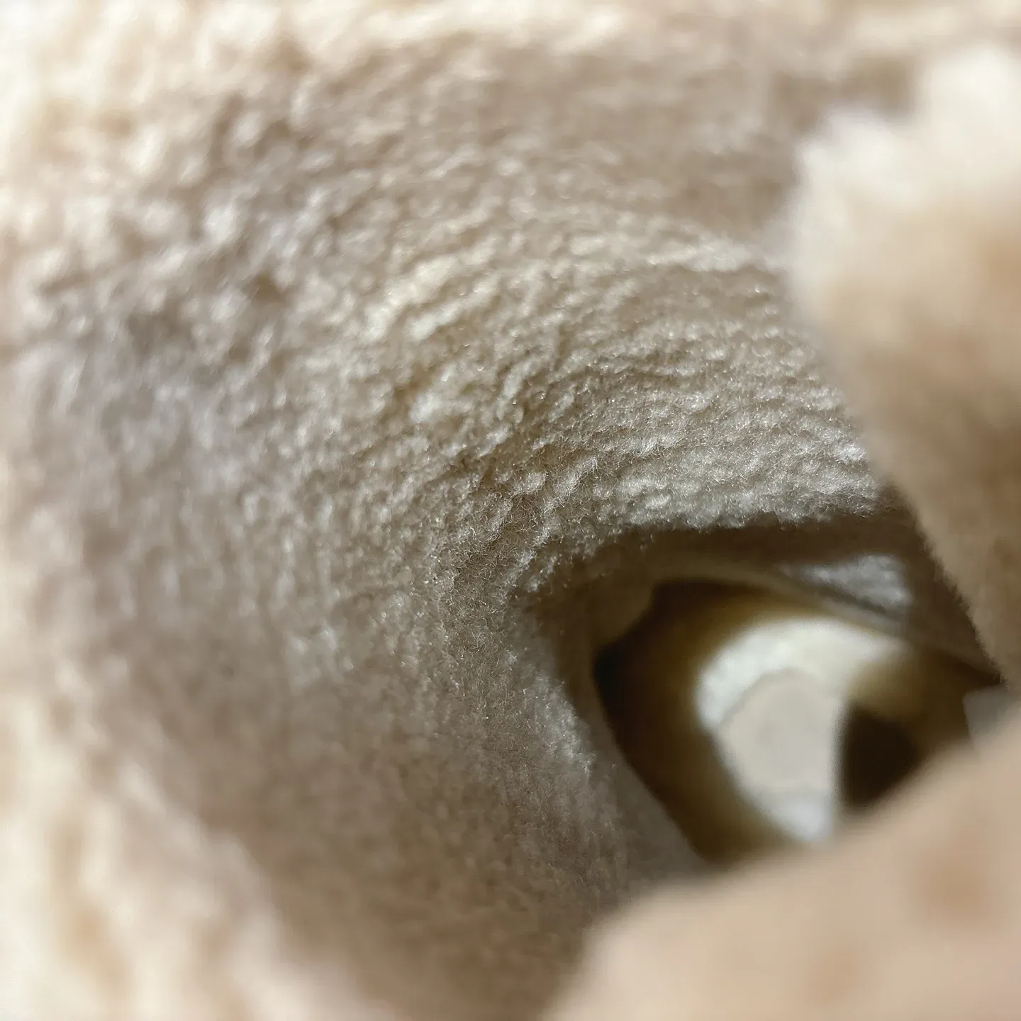 Ботинки Мужские Hermes 301082