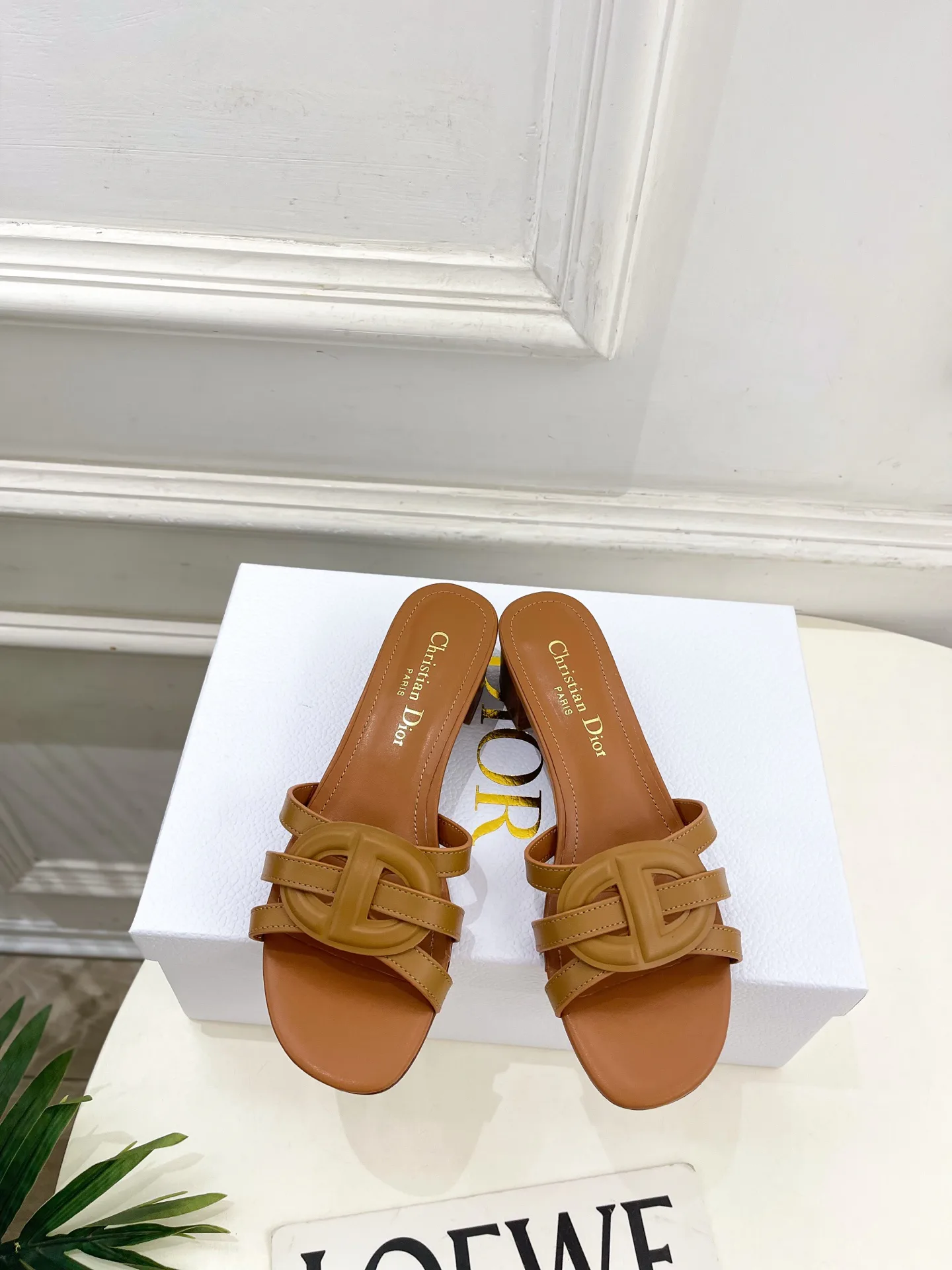 Туфли Женские Christian Dior 12601464