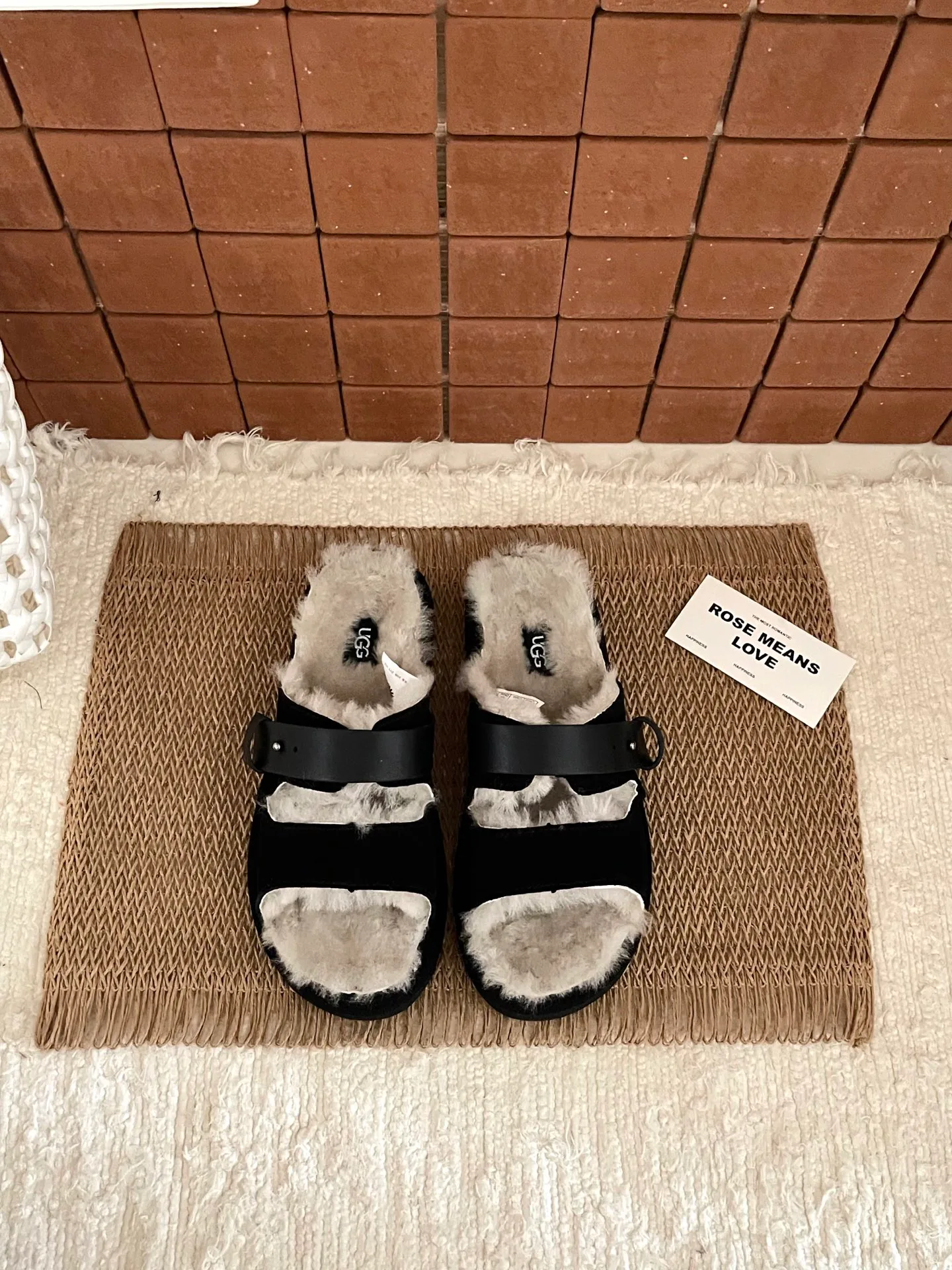 Тапочки Женские Ugg 302041
