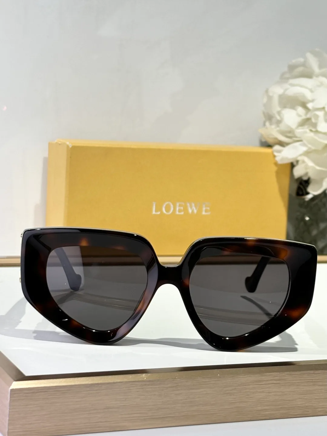 Очки Loewe 812314