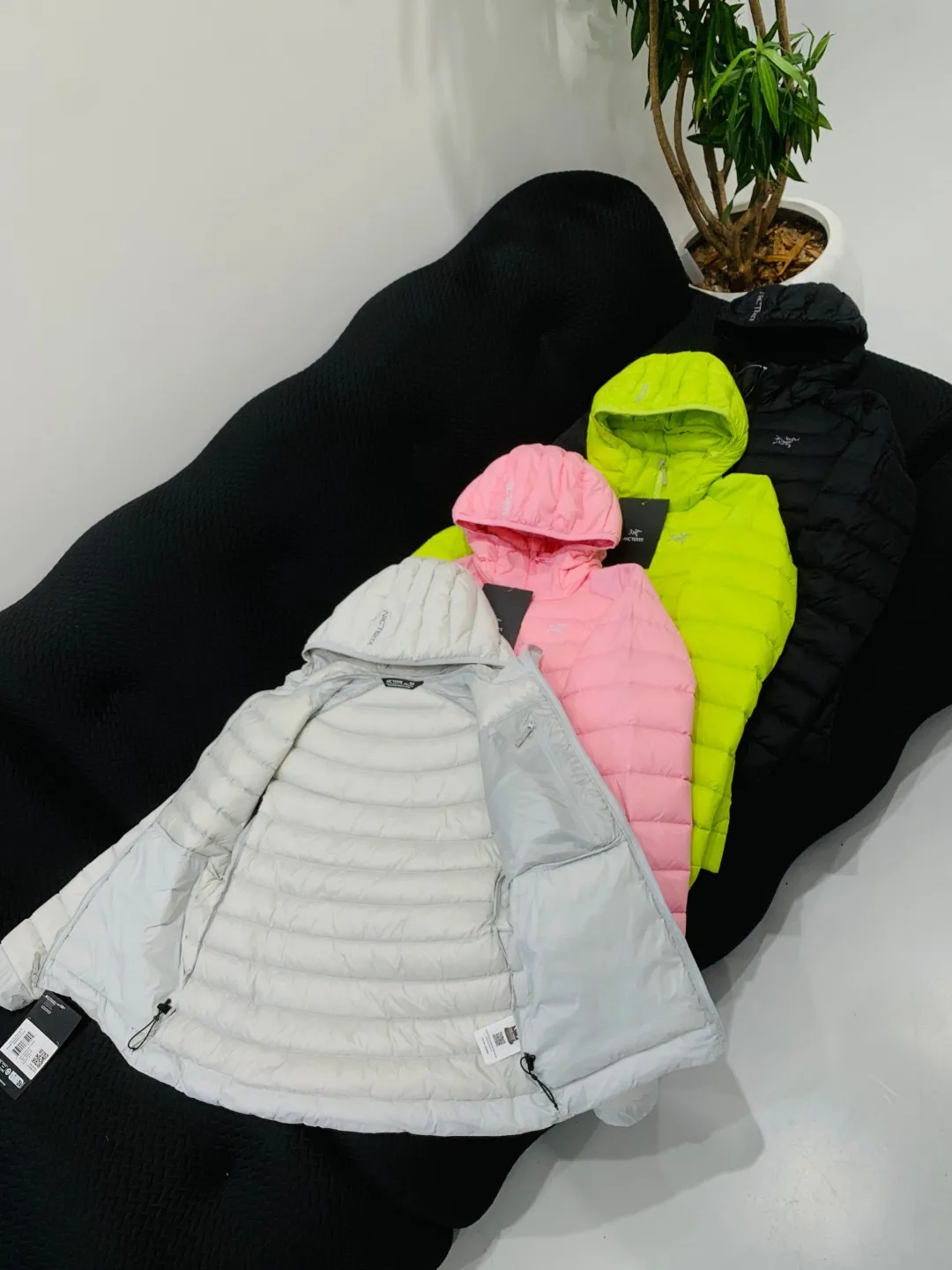 Куртки И Пуховики Женские Arcteryx 19167913