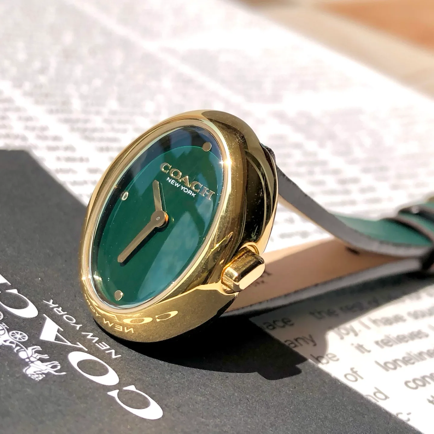 Часы Женские Coach 449049