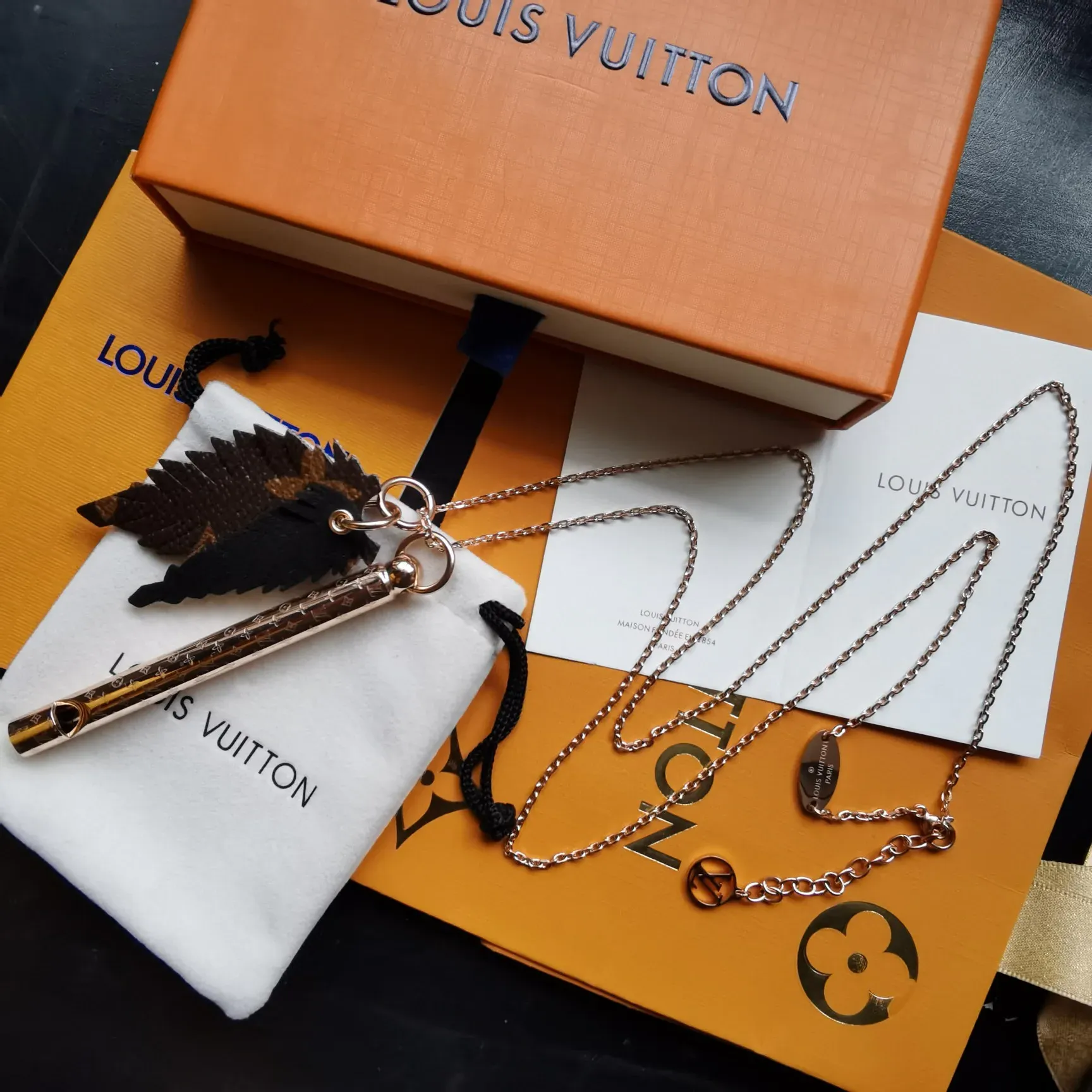 Бижутерия Louis Vuitton 763363