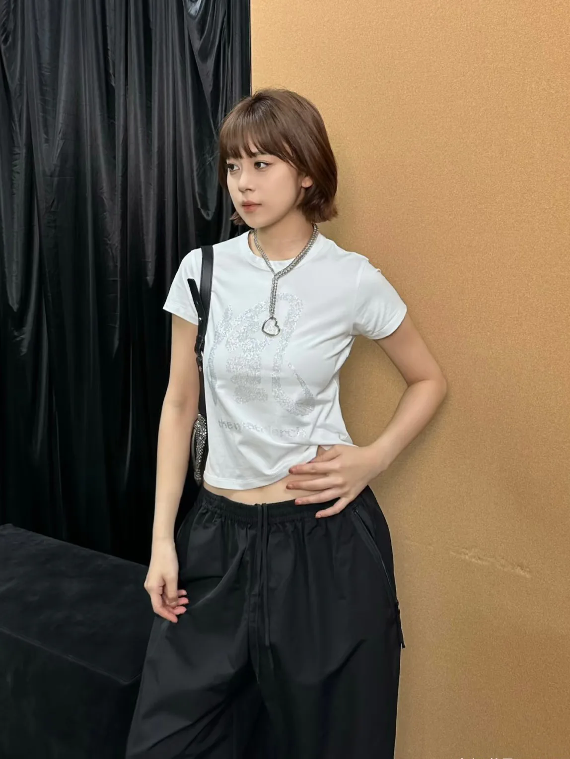 Футболки Женские Alexander Wang 13166878