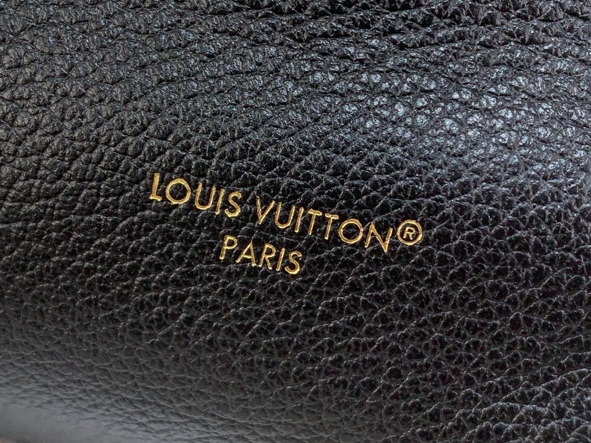 Классические Сумки Женские Louis Vuitton 13096124