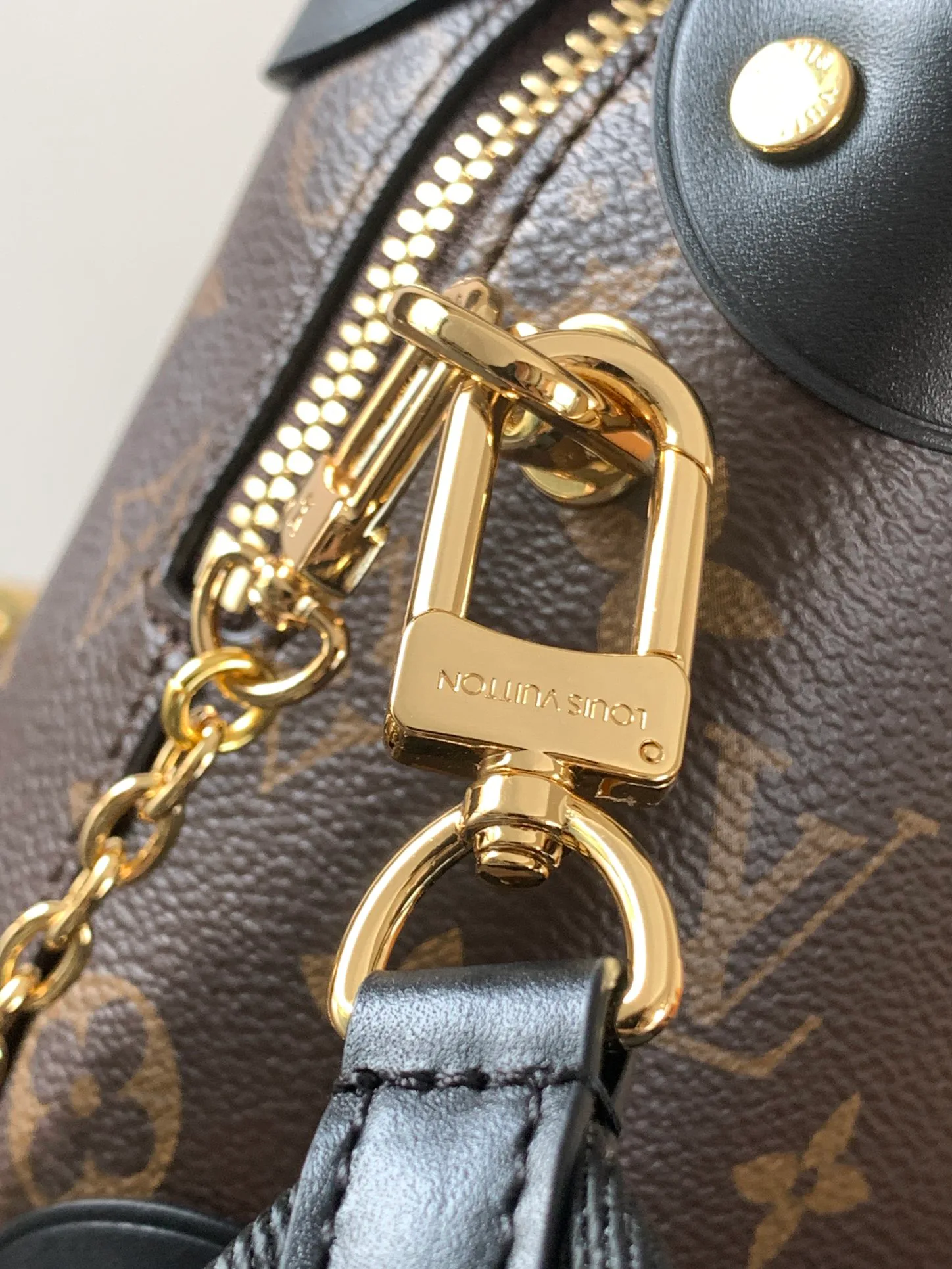 Классические Сумки Женские Louis Vuitton 11394862