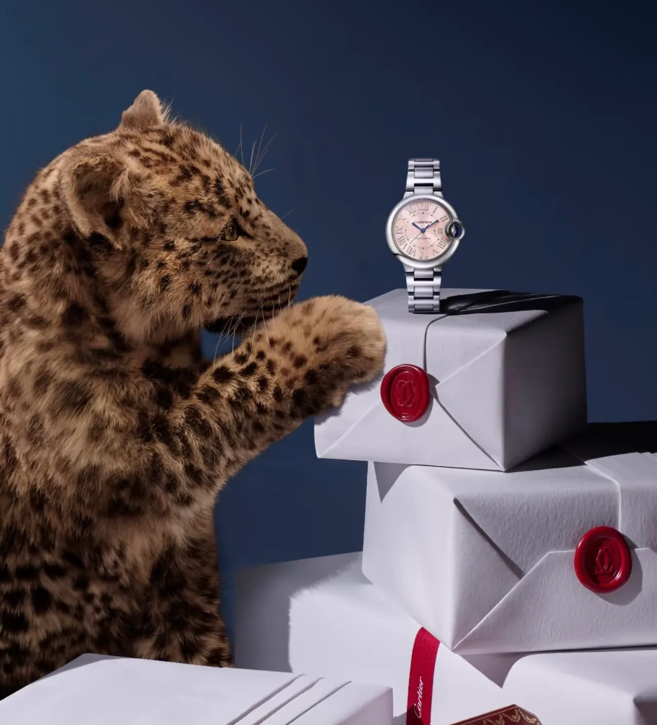 Часы Женские Cartier 692566