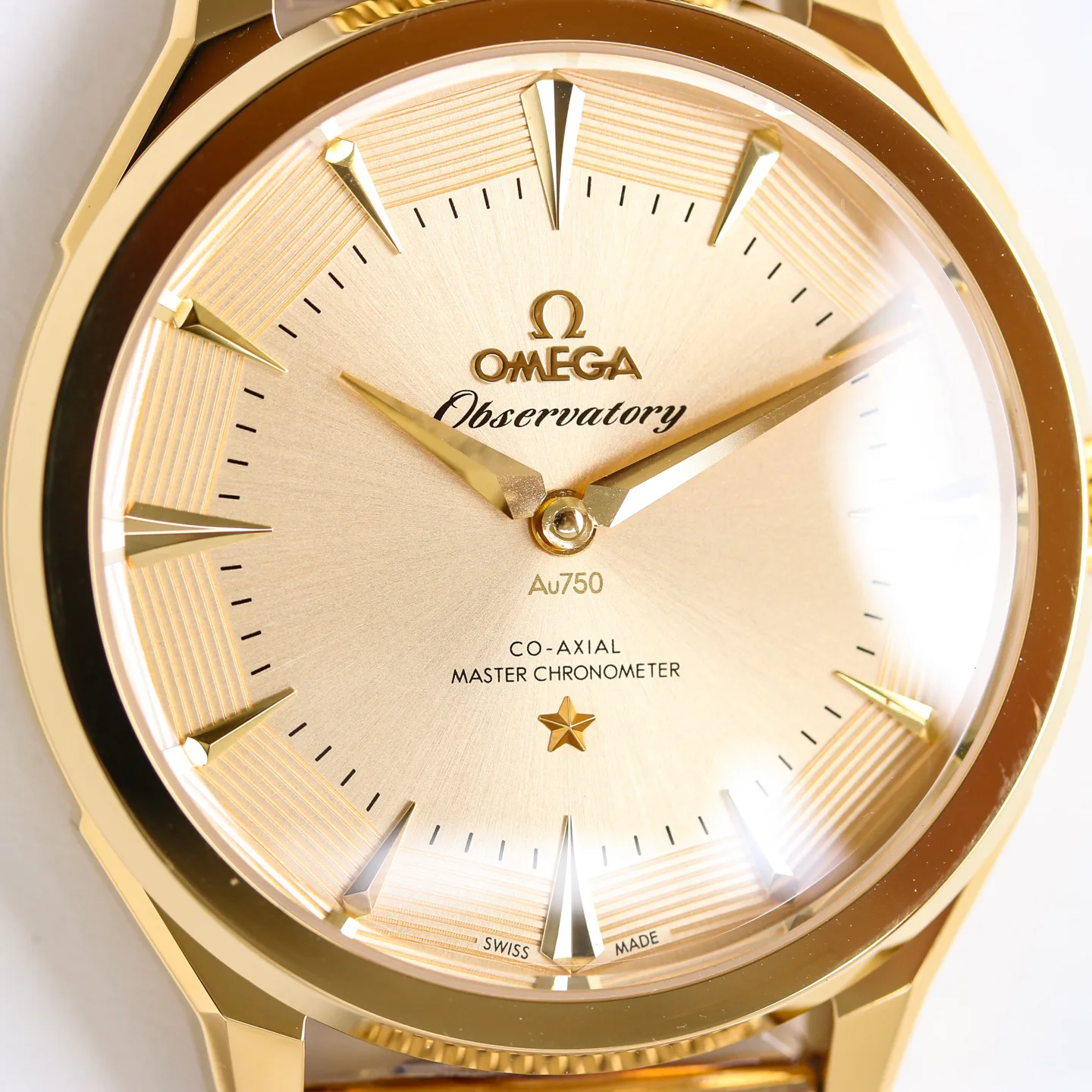 Часы Мужские Omega 17881578