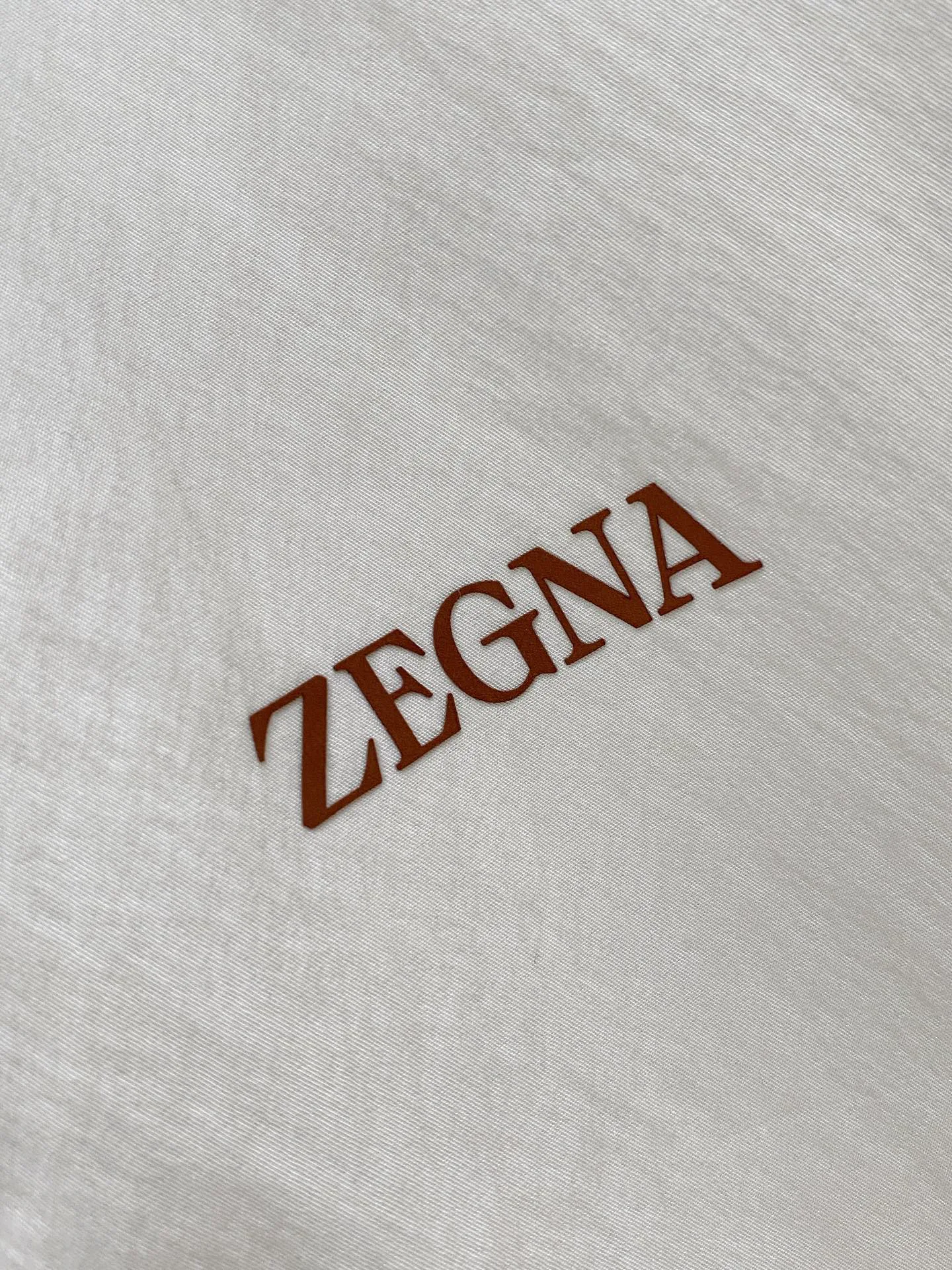 Куртки И Пуховики Мужские Zegna 13182432