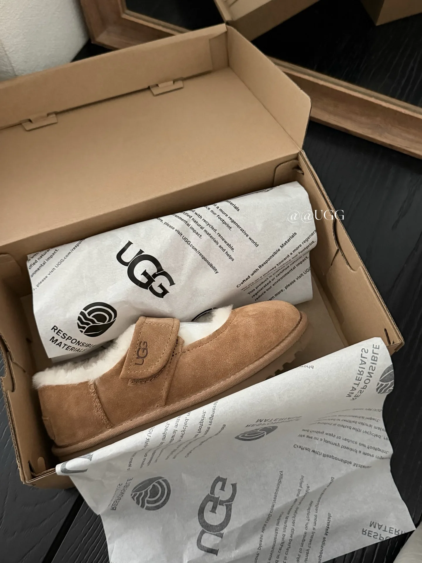 Угги Женские Ugg 17926091