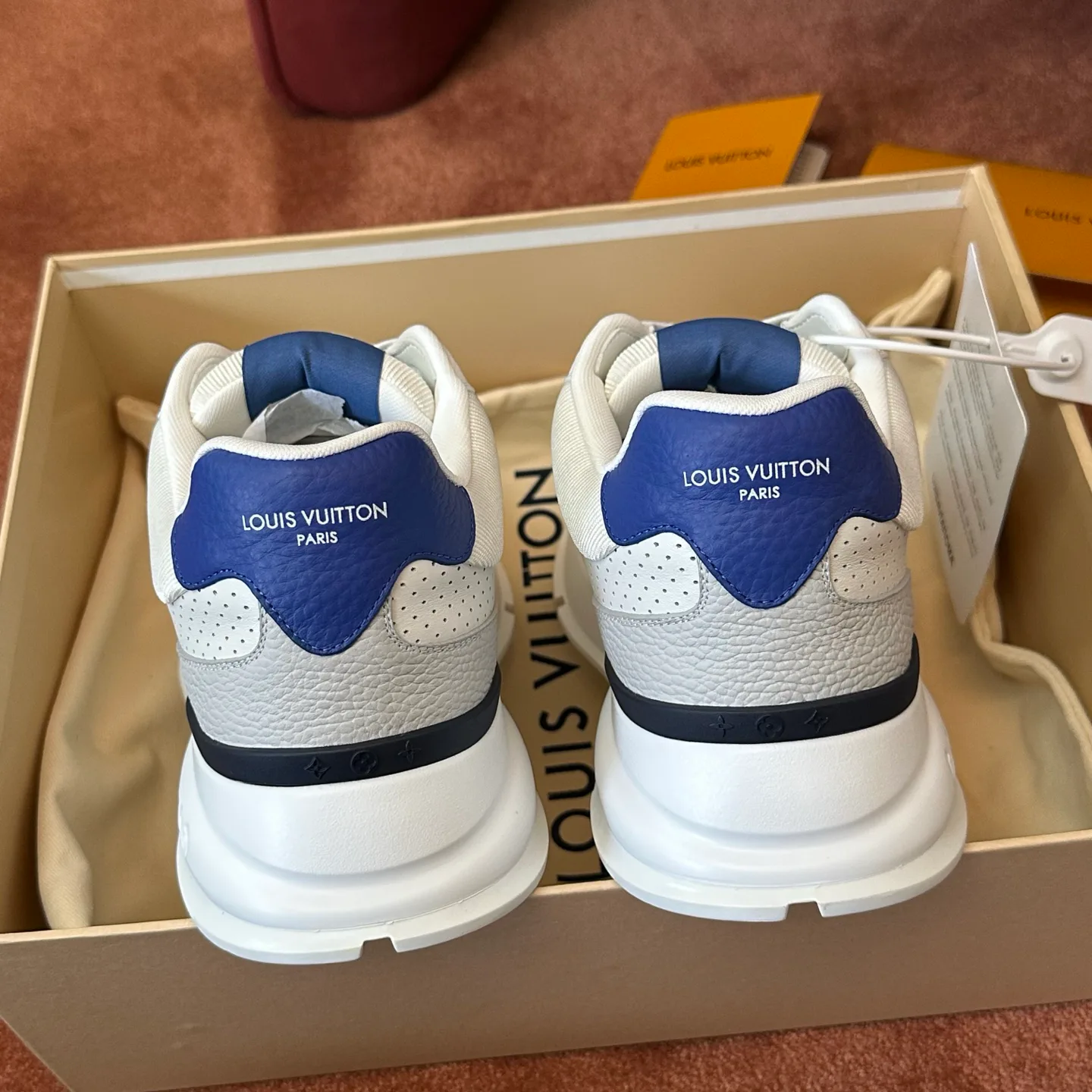 Кроссовки Мужские Louis Vuitton 17460365