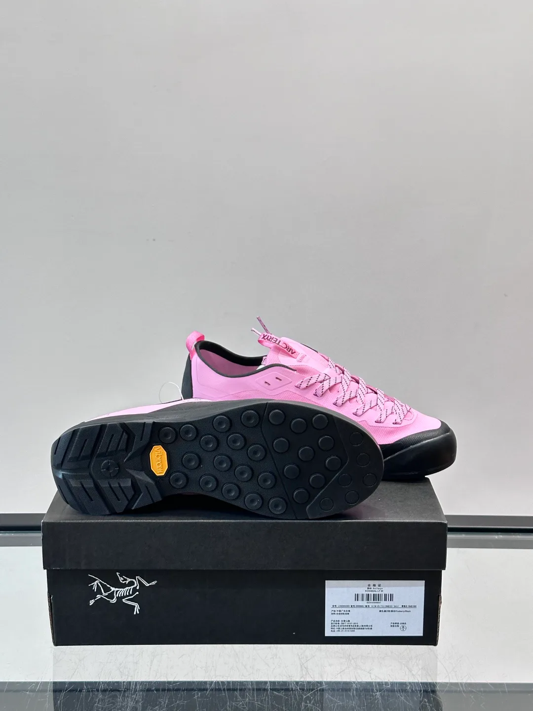 Кроссовки Женские Arcteryx 16883822