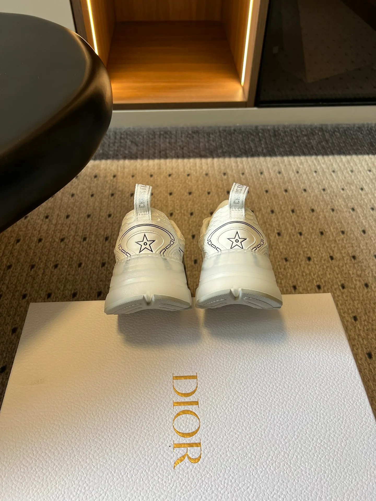 Кроссовки Женские Christian Dior 12833490
