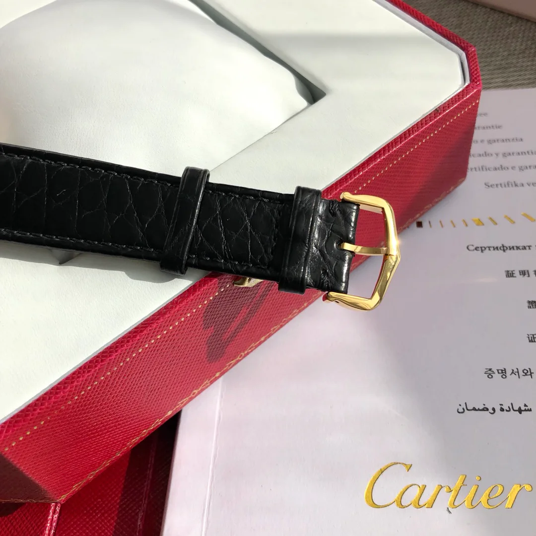 Часы Женские Cartier 17336739