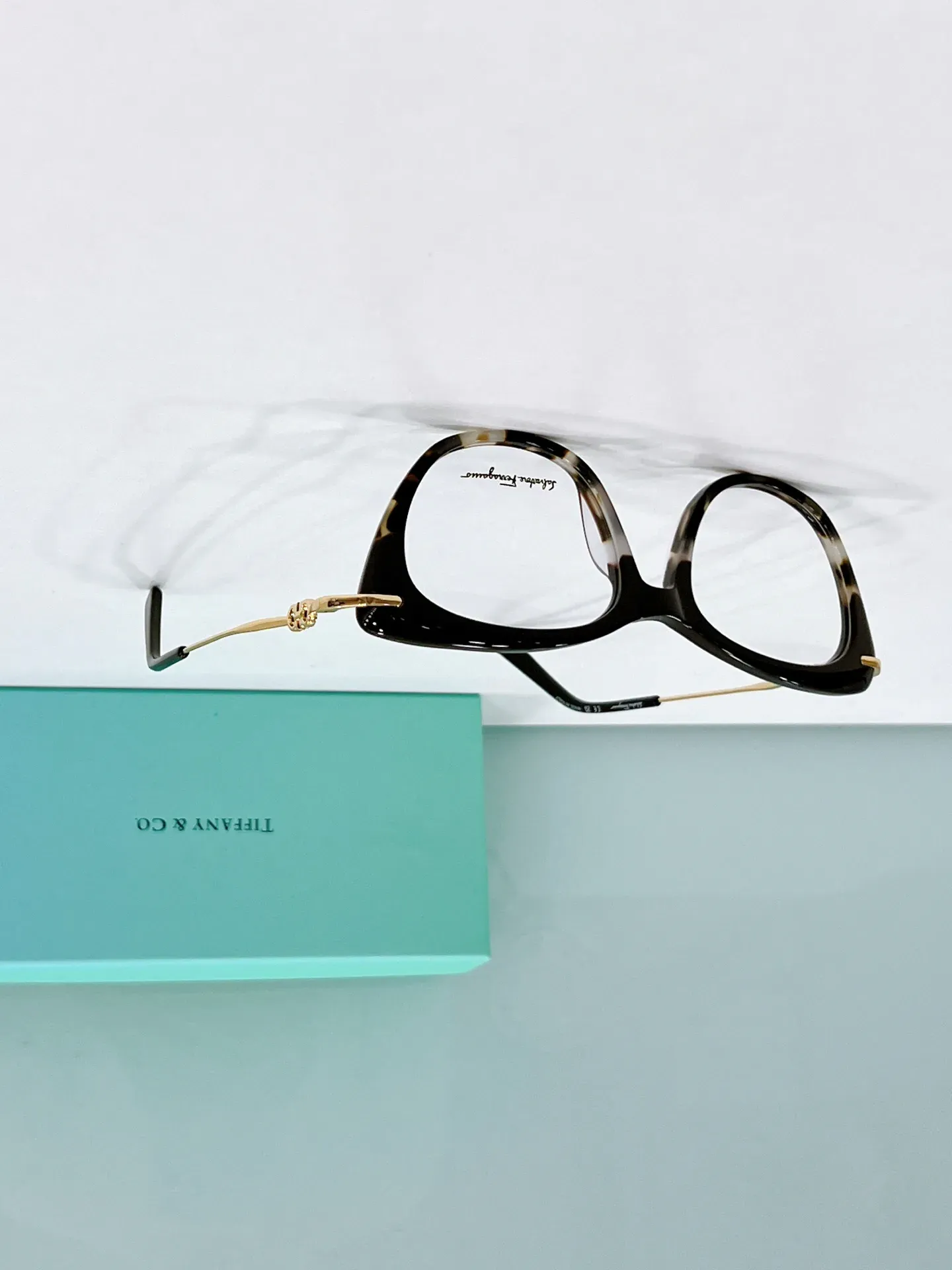 Очки Salvatore Ferragamo 14496