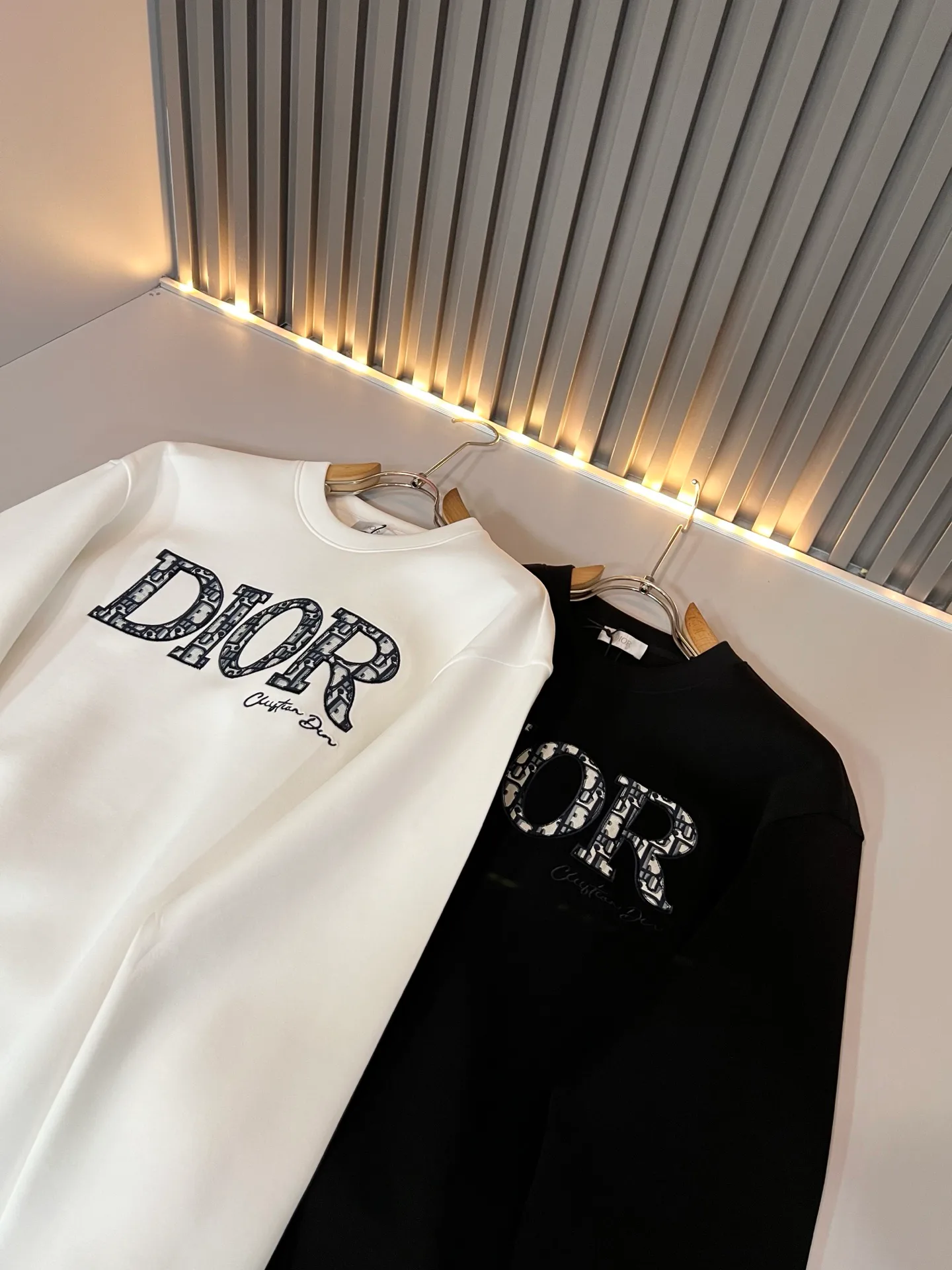 Свитшоты И Худи Мужские Christian Dior 18446406