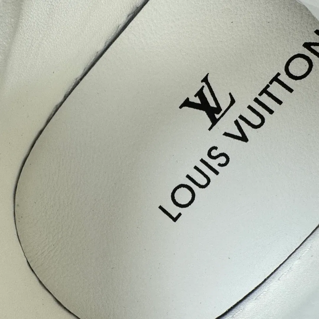 Кроссовки Мужские Louis Vuitton 5725417