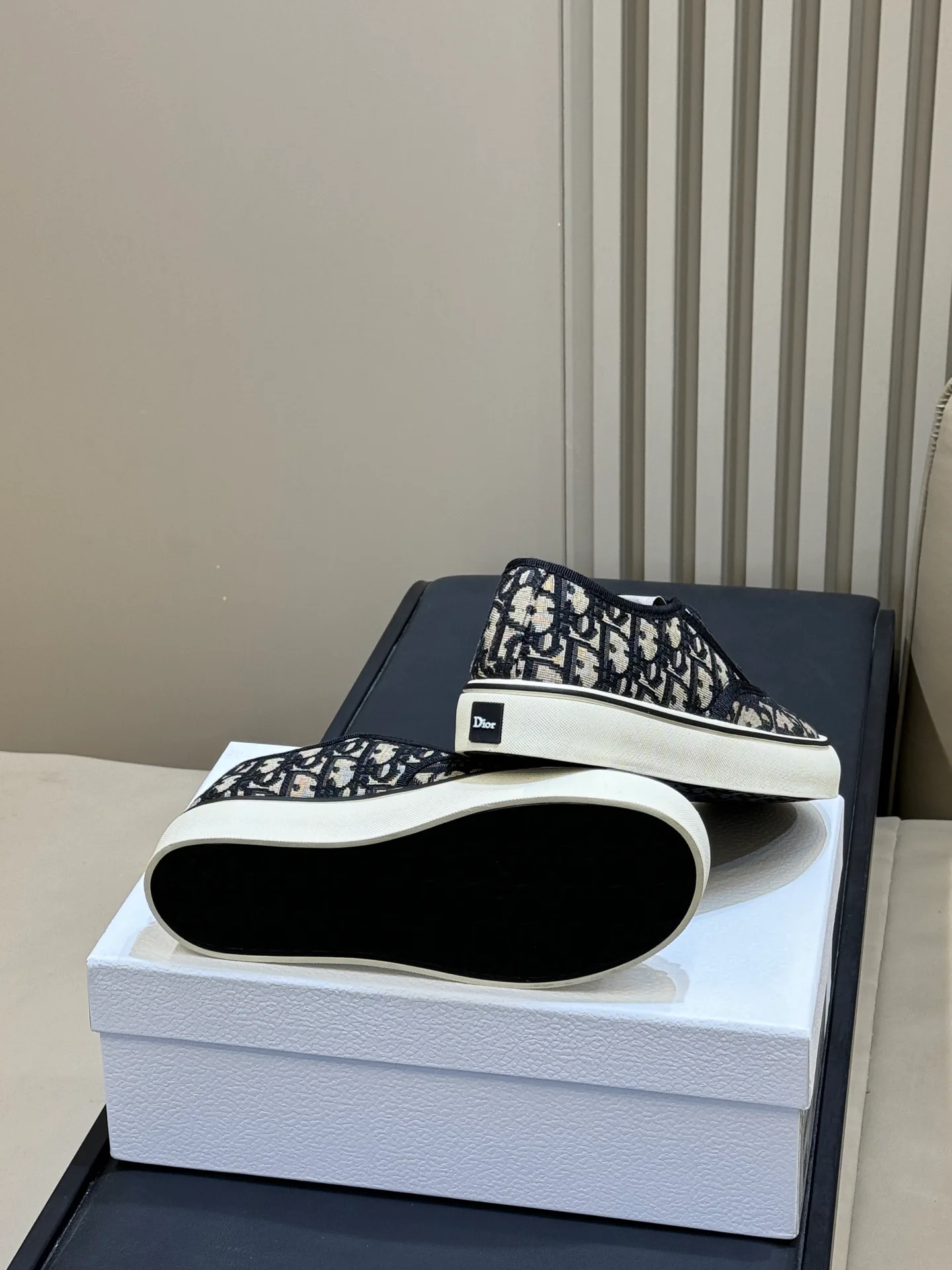 Кеды Женские Christian Dior 11601069