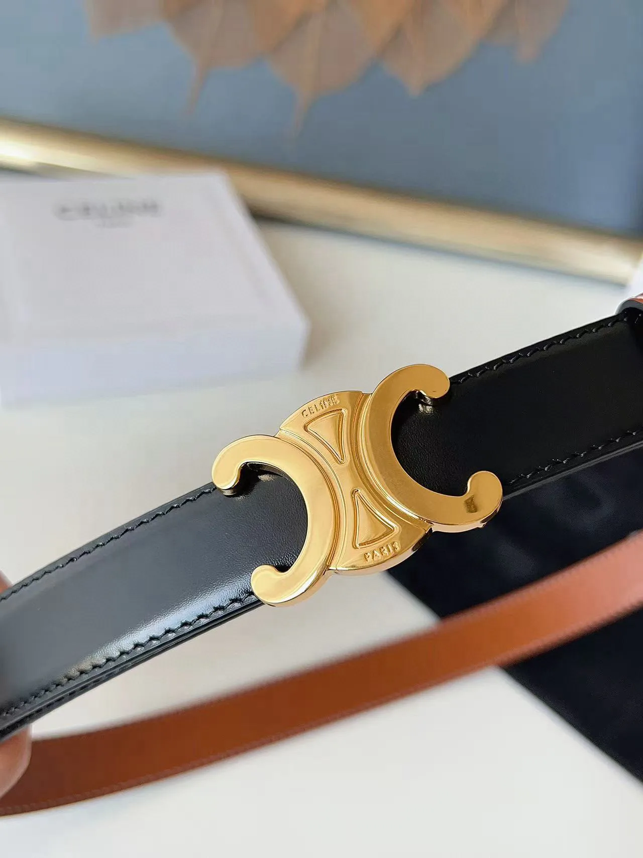 Поясные Сумки Женские Celine 11886358