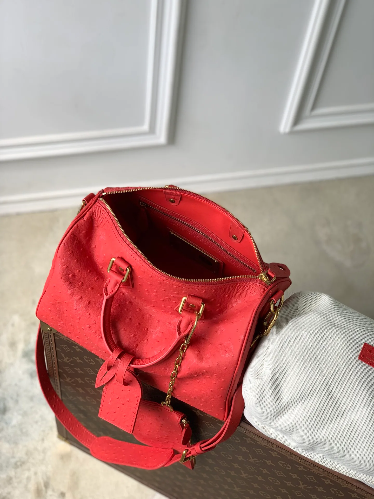 Классические Сумки Женские Louis Vuitton 18147439