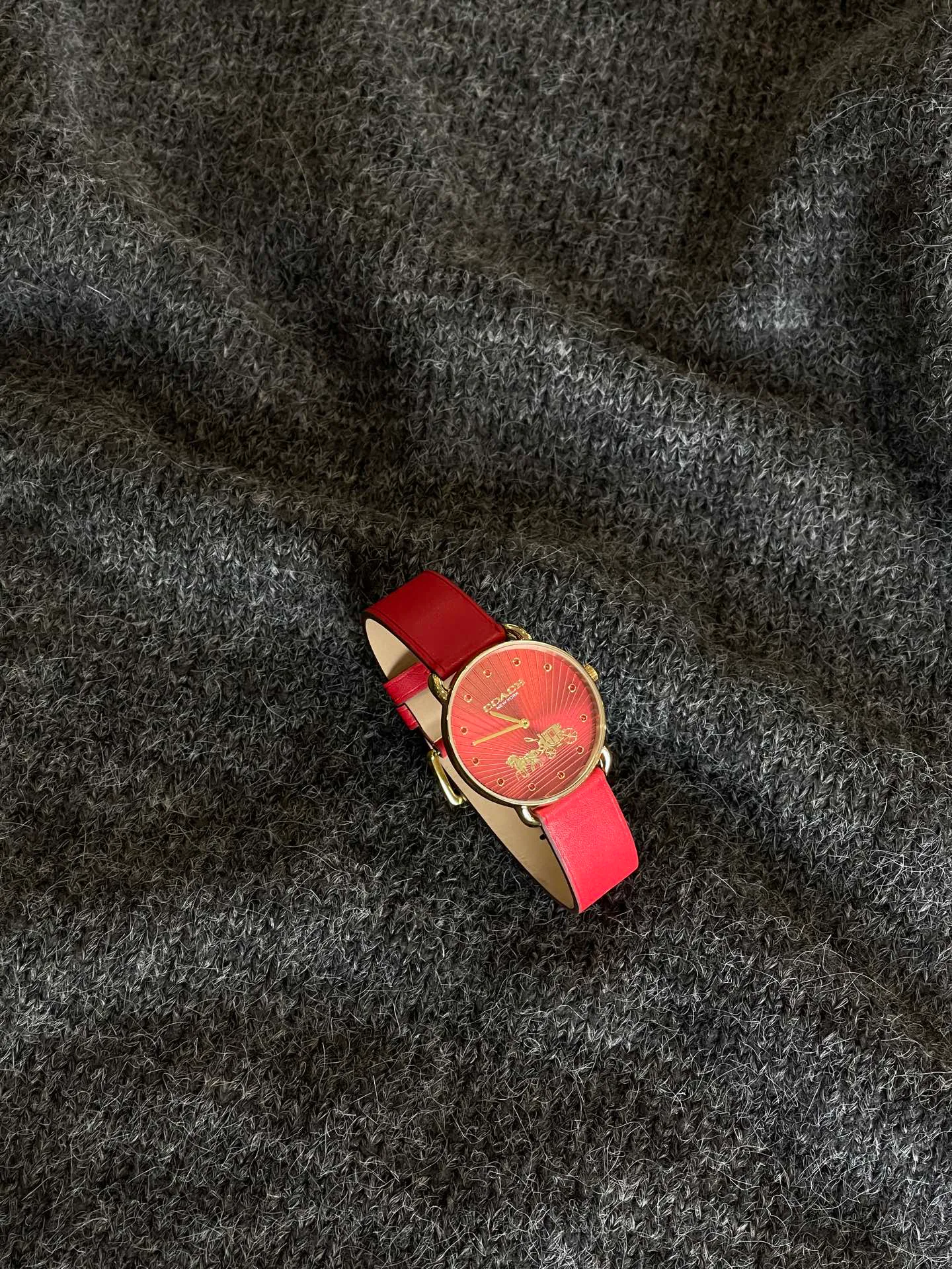 Часы Женские Coach 3409378