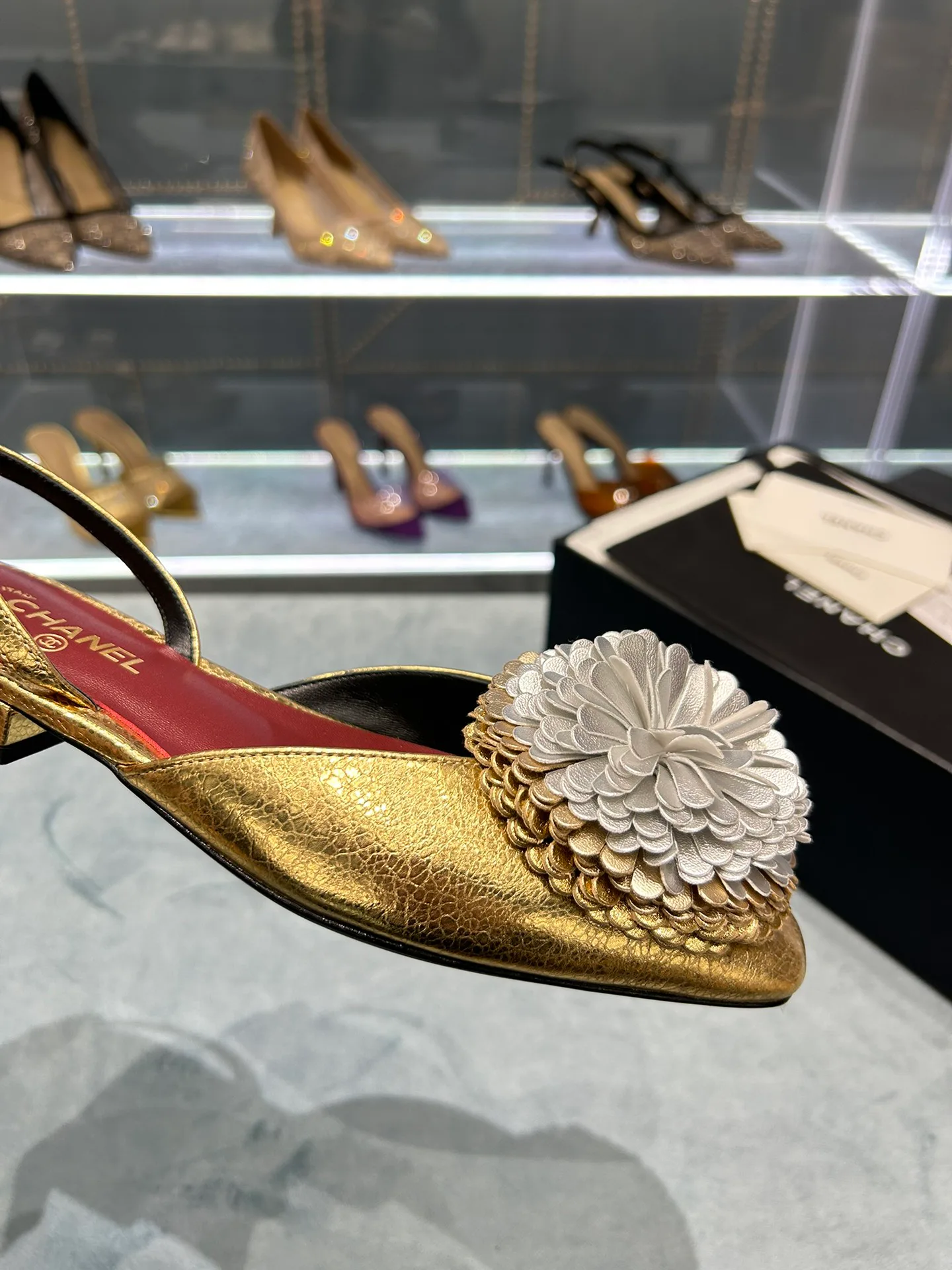 Туфли Женские Chanel 3497511