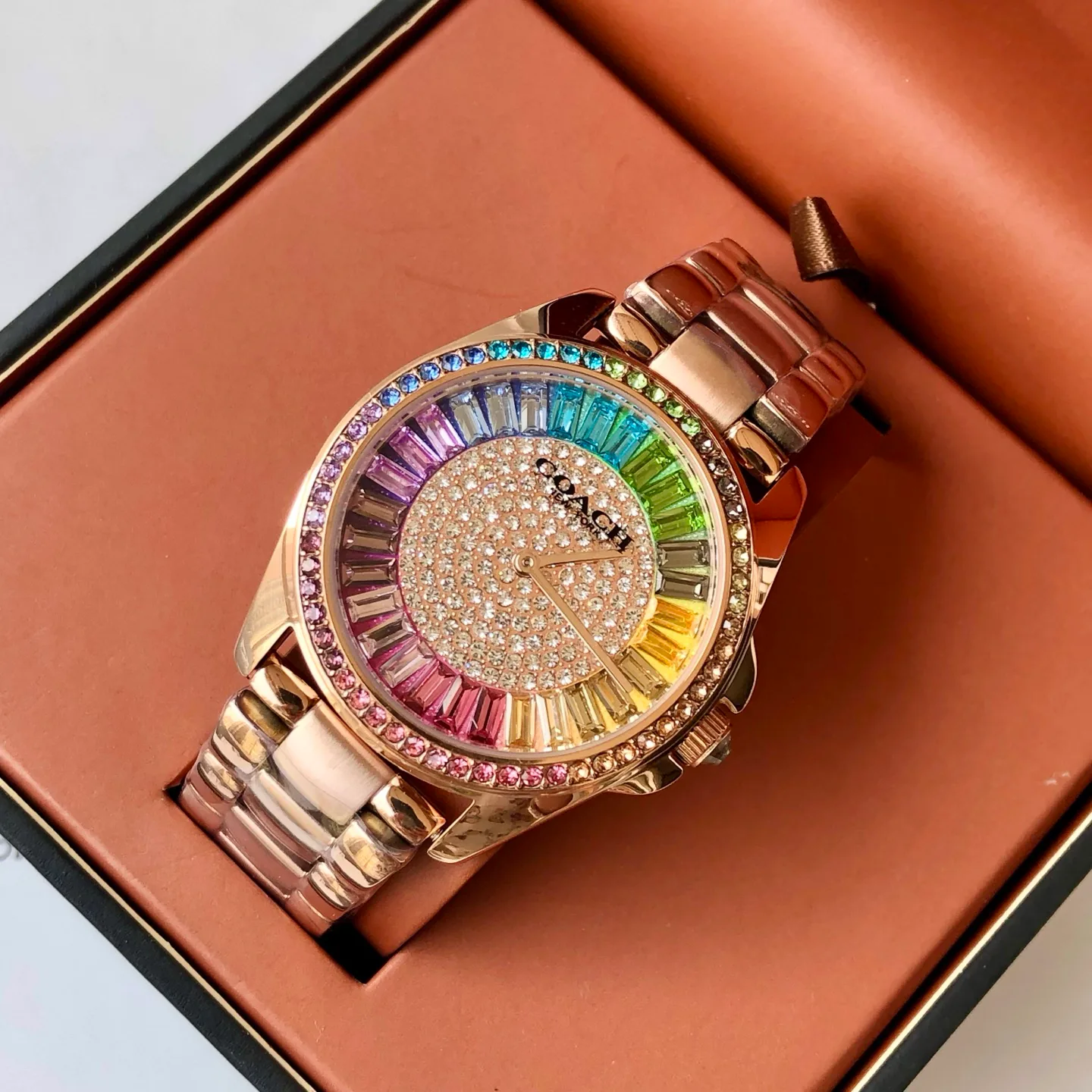 Часы Женские Coach 6419029