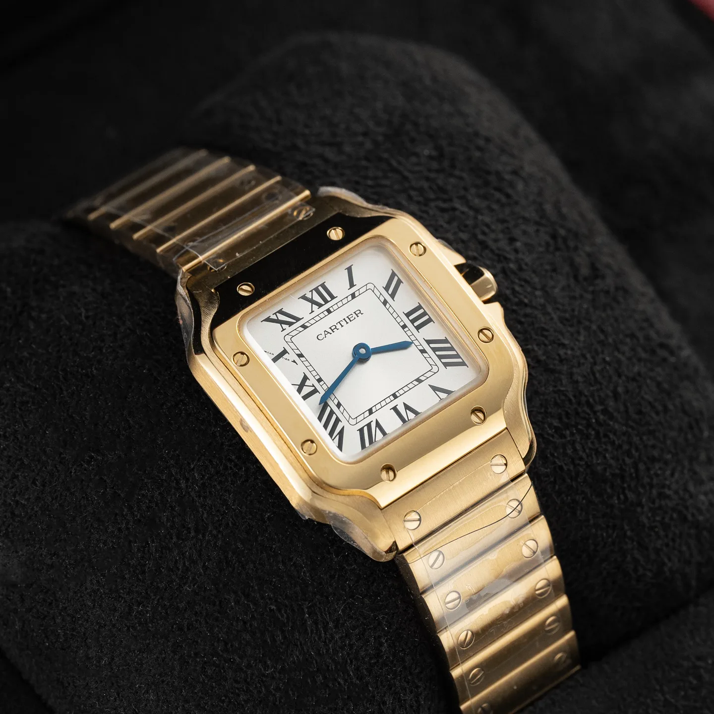 Часы Женские Cartier 9892601
