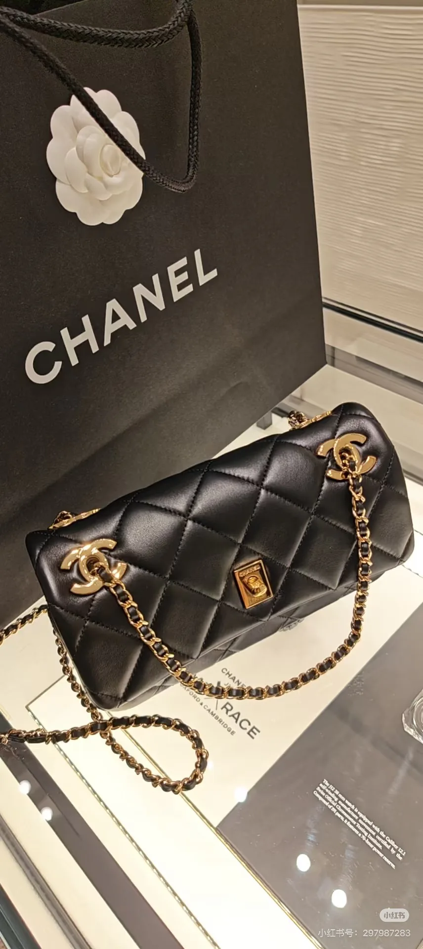 Классические Сумки Женские Chanel 17364599