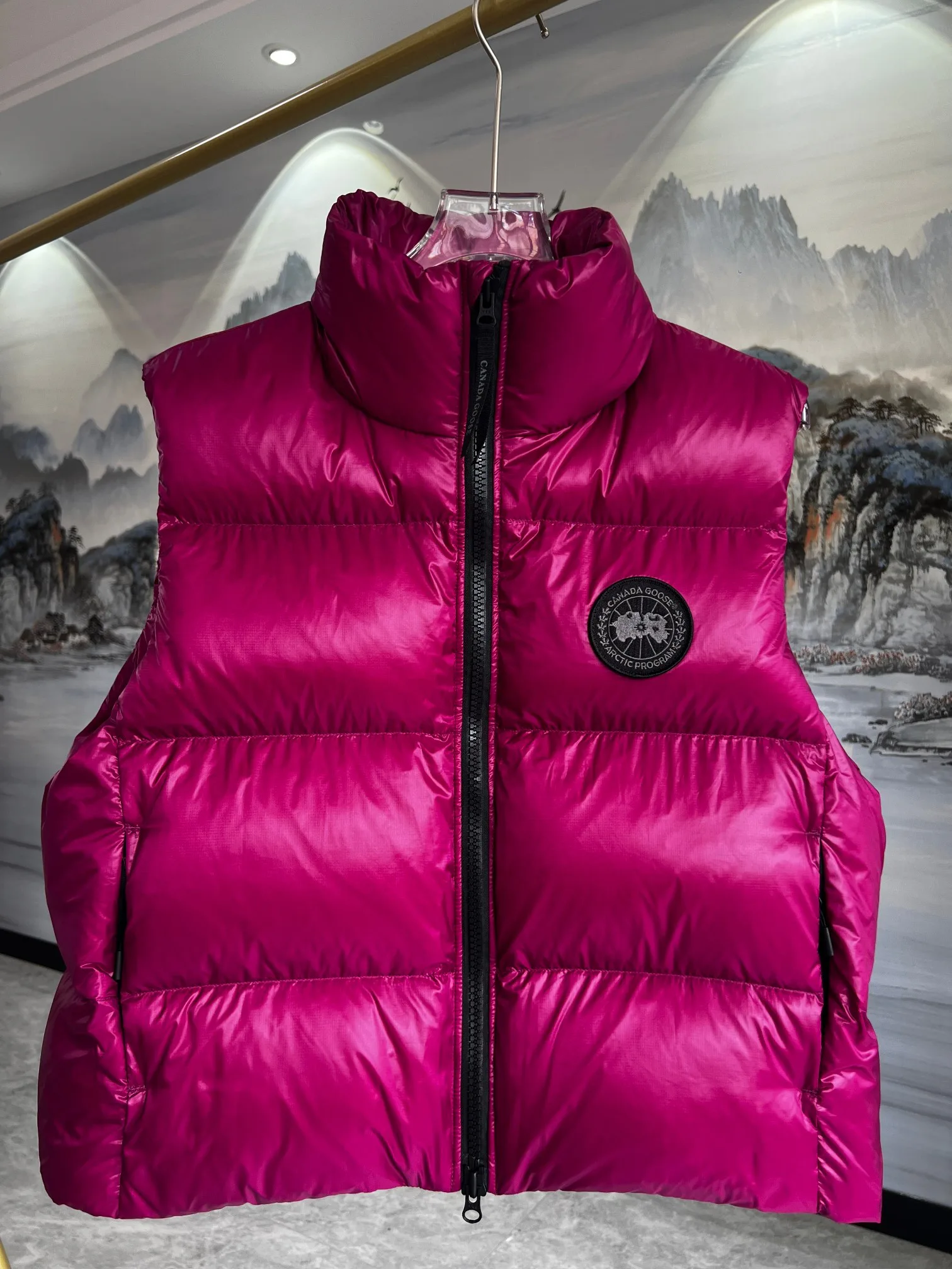 Жилеты Женские Canada Goose 2162183