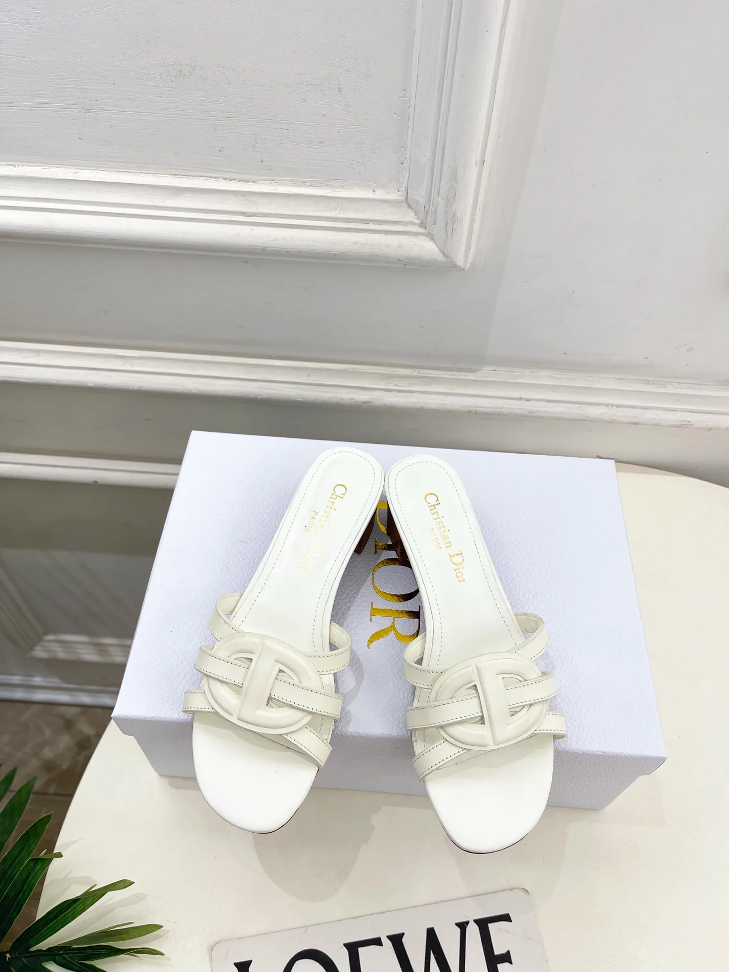 Туфли Женские Christian Dior 12601465
