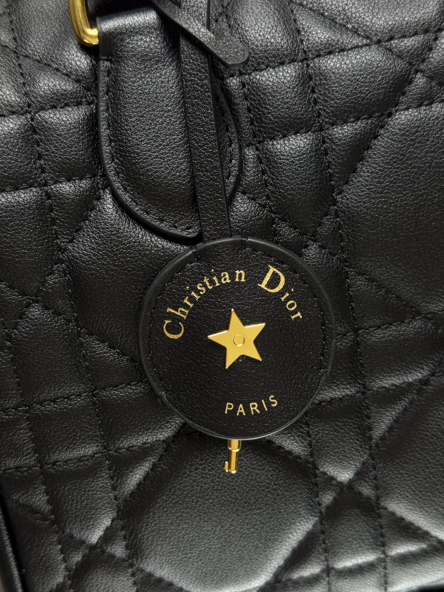 Классические Сумки Женские Christian Dior 11900294