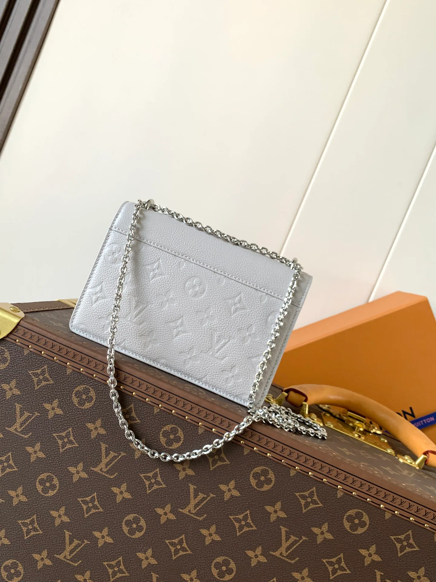 Клатчи Женские Louis Vuitton 11152602