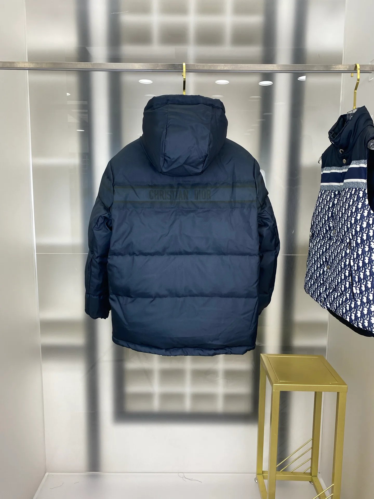 Куртки И Пуховики Женские Christian Dior 213202