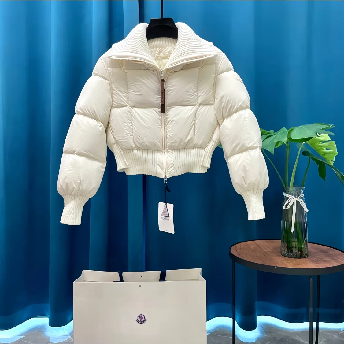 Куртки И Пуховики Женские Moncler 249380