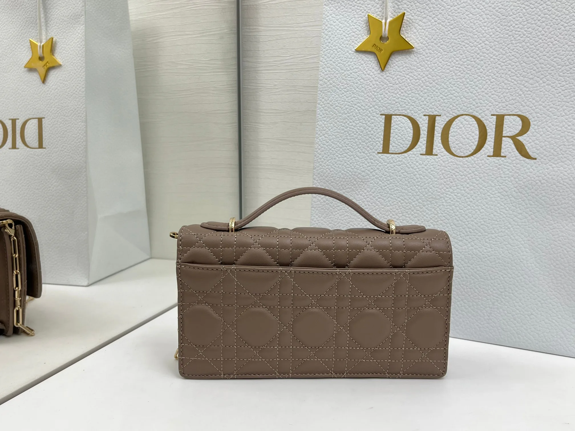 Классические Сумки Женские Christian Dior 11669071