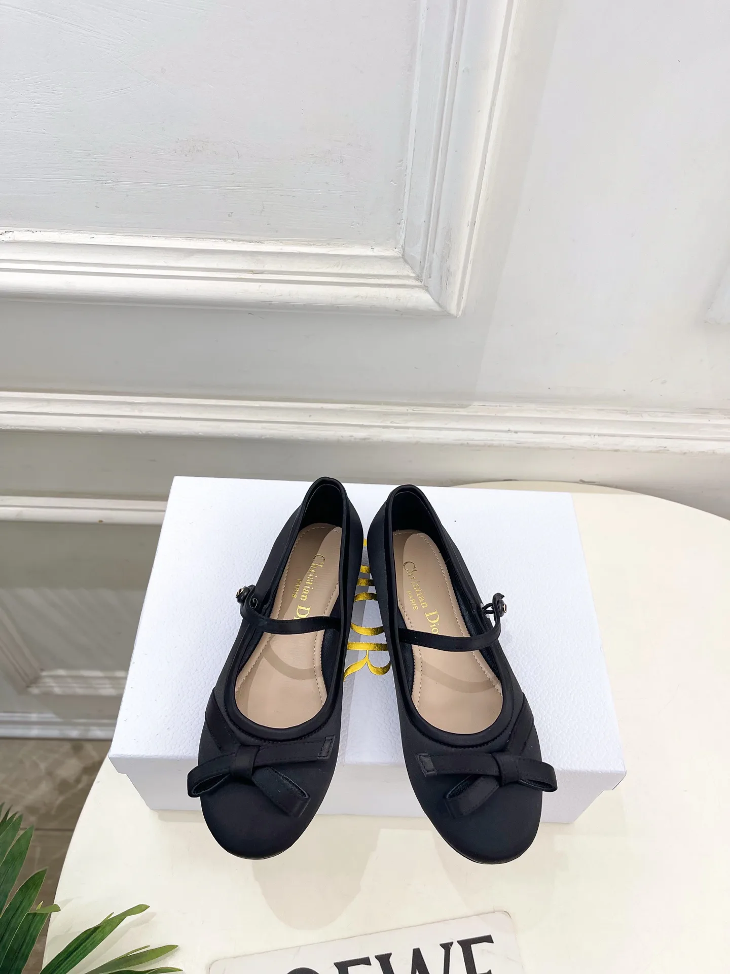 Туфли Женские Christian Dior 12601468