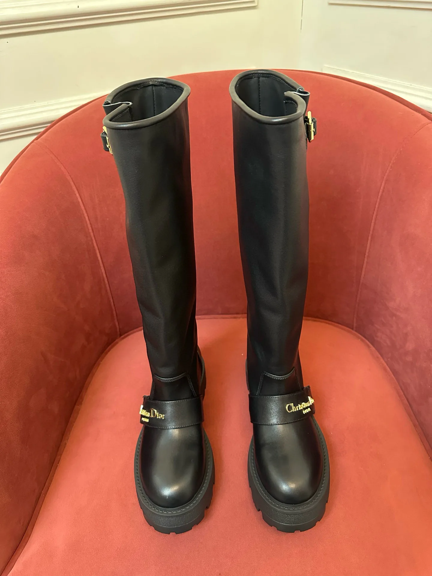 Сапоги Женские Christian Dior 209465