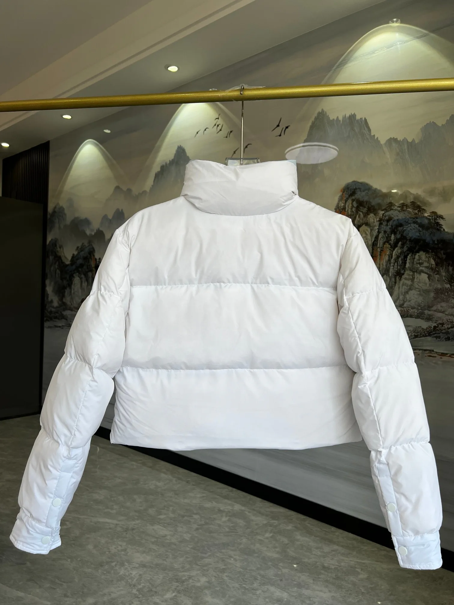 Куртки И Пуховики Женские Prada 2162138