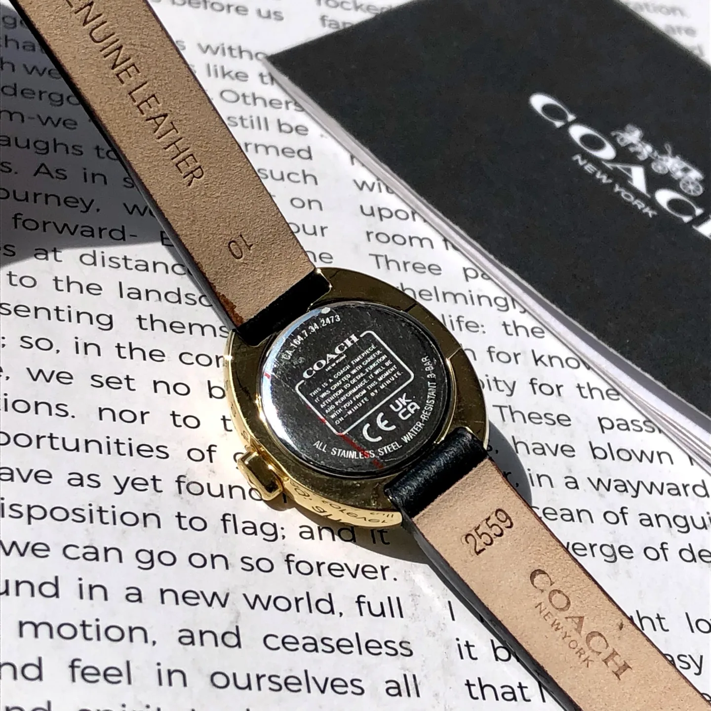 Часы Женские Coach 449051