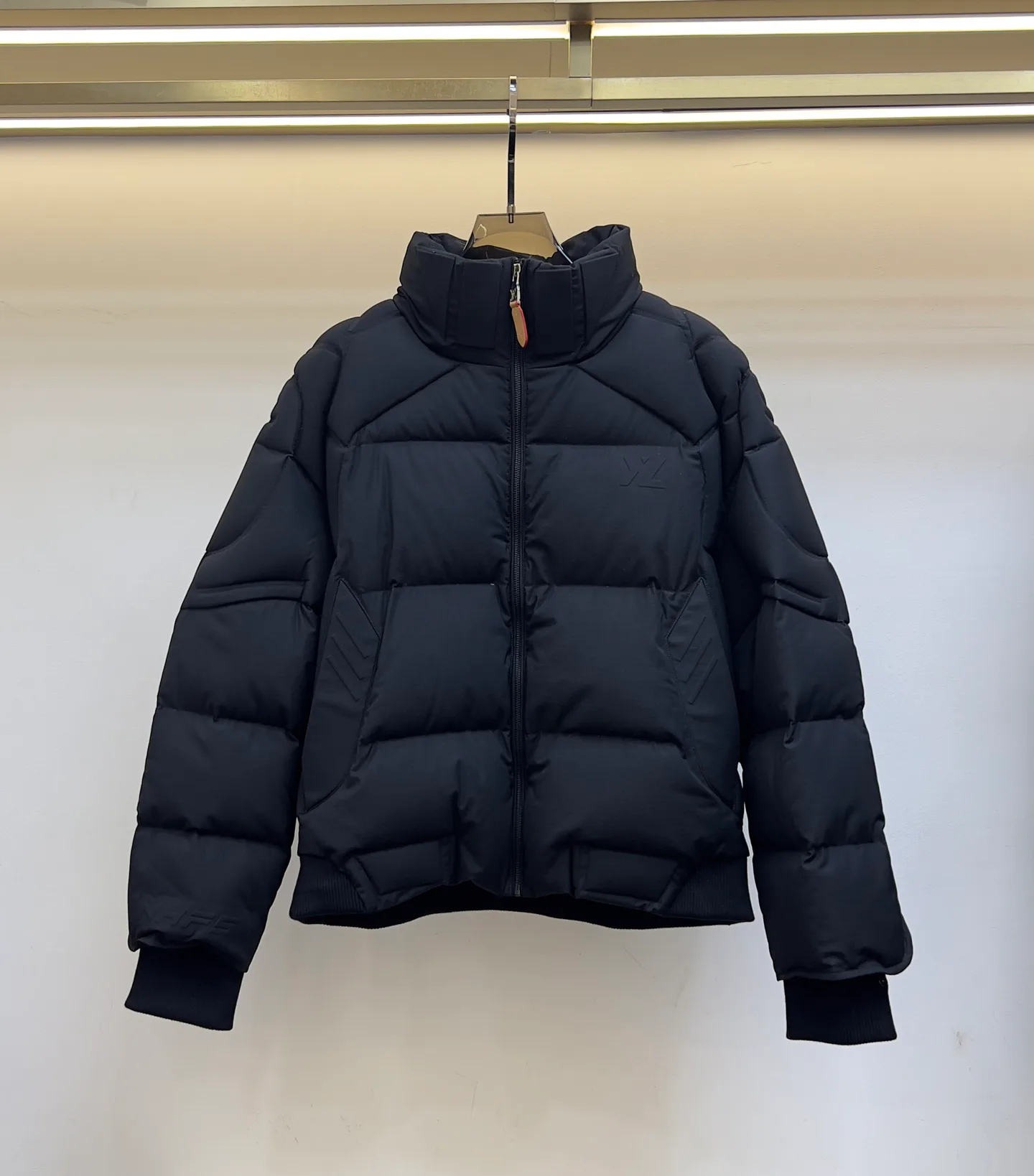 Куртки И Пуховики Женские Louis Vuitton 844135