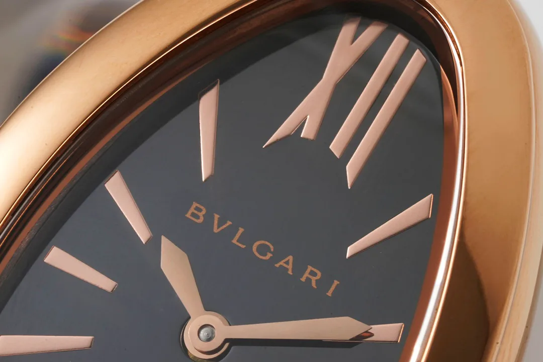Часы Женские Bvlgari 11696051