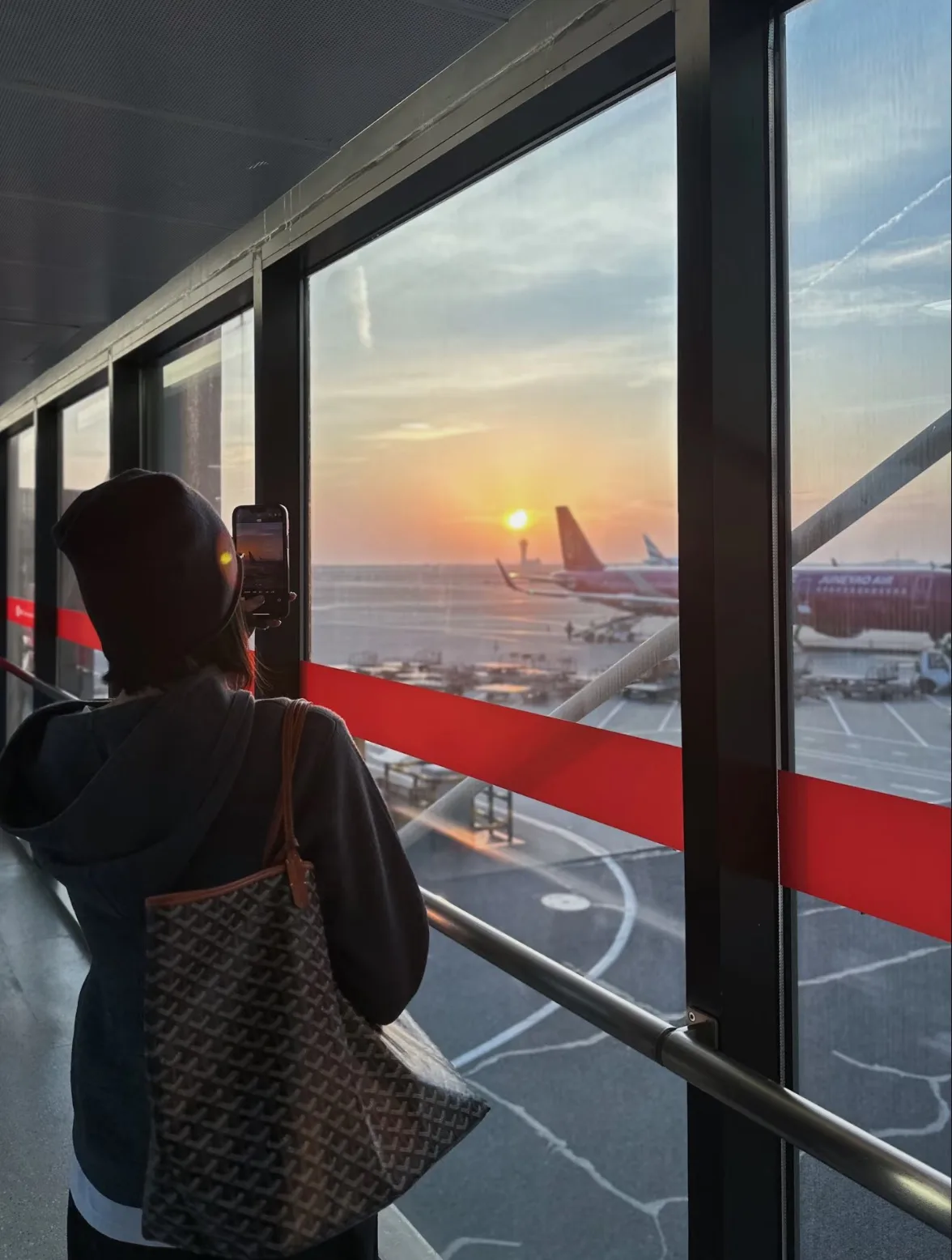 Классические Сумки Женские Goyard 34218