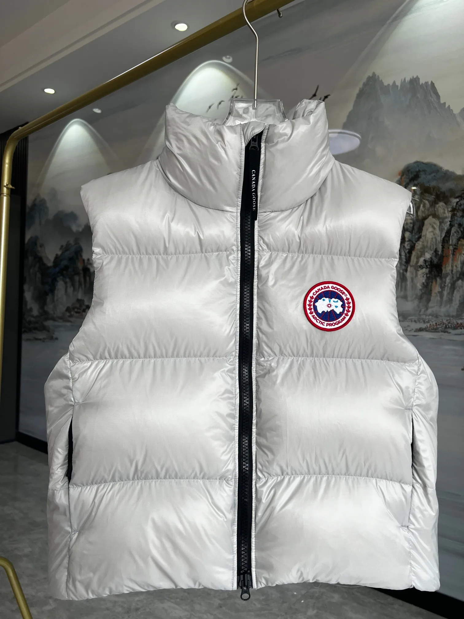 Жилеты Женские Canada Goose 2162187