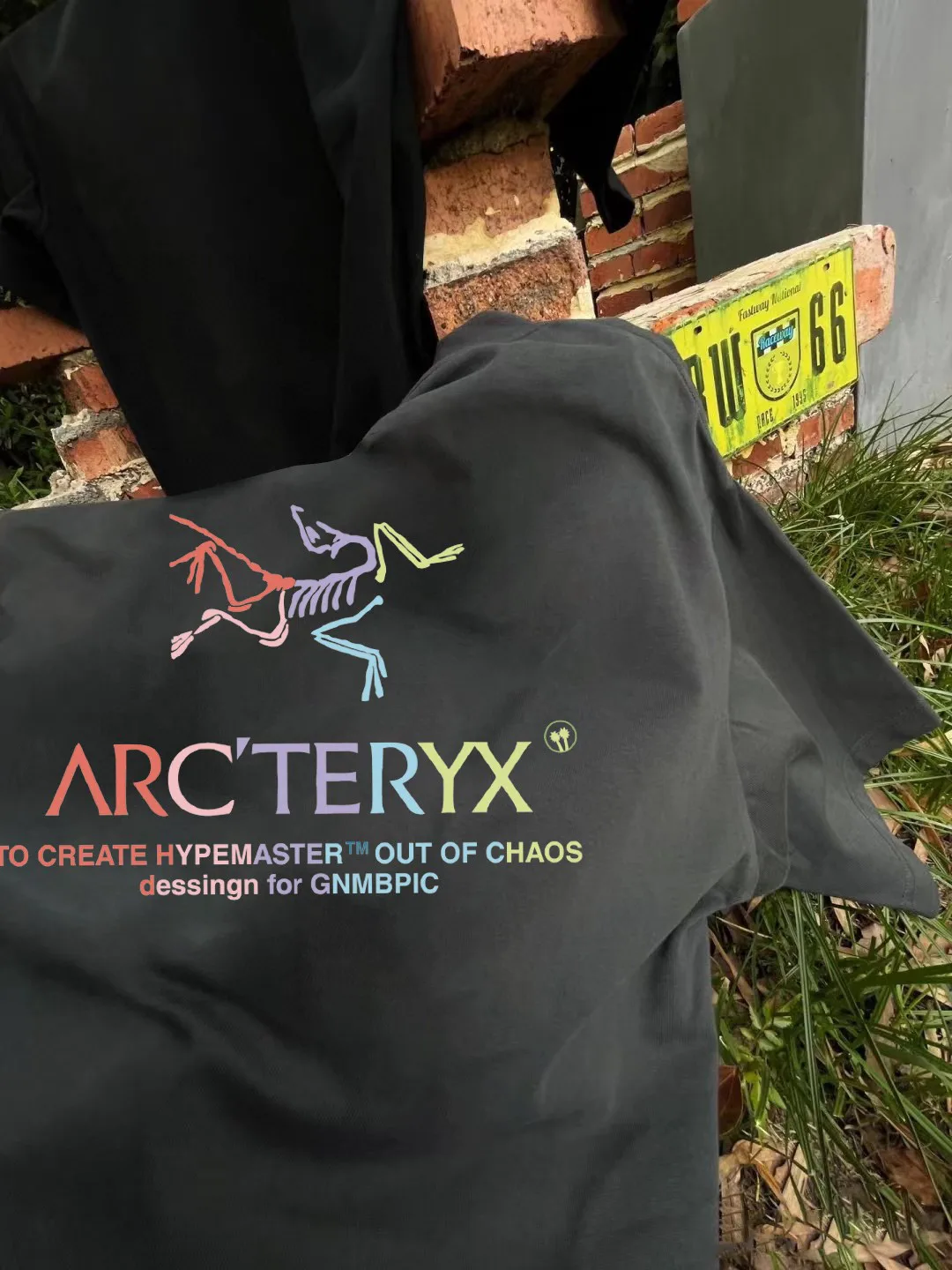 Футболки Женские Arcteryx