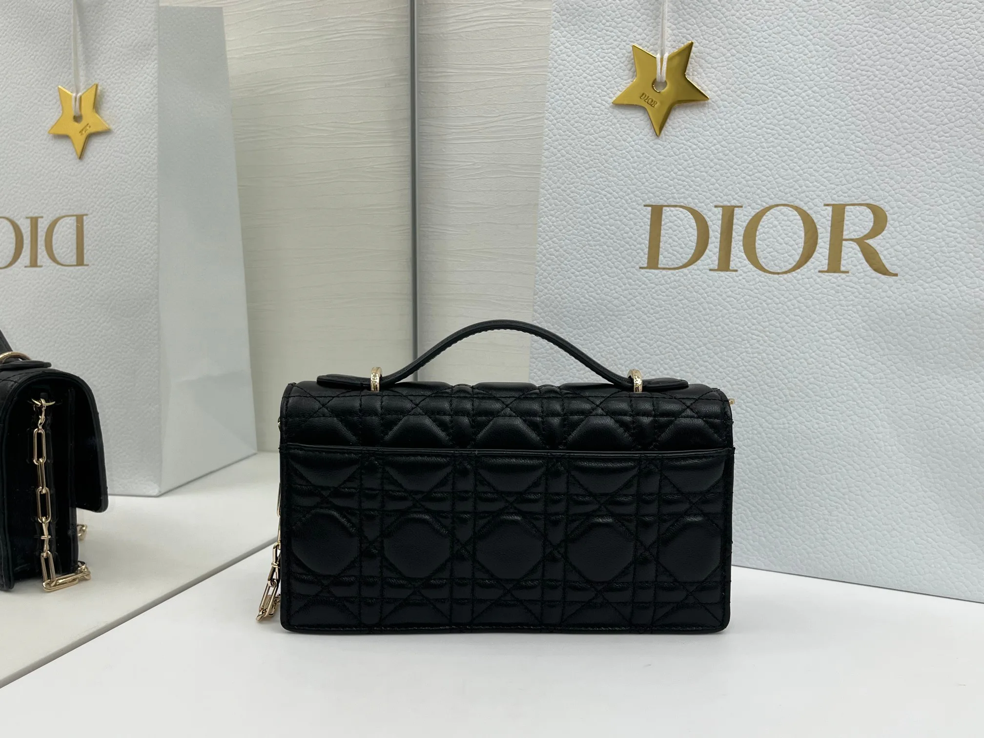 Классические Сумки Женские Christian Dior 11669069