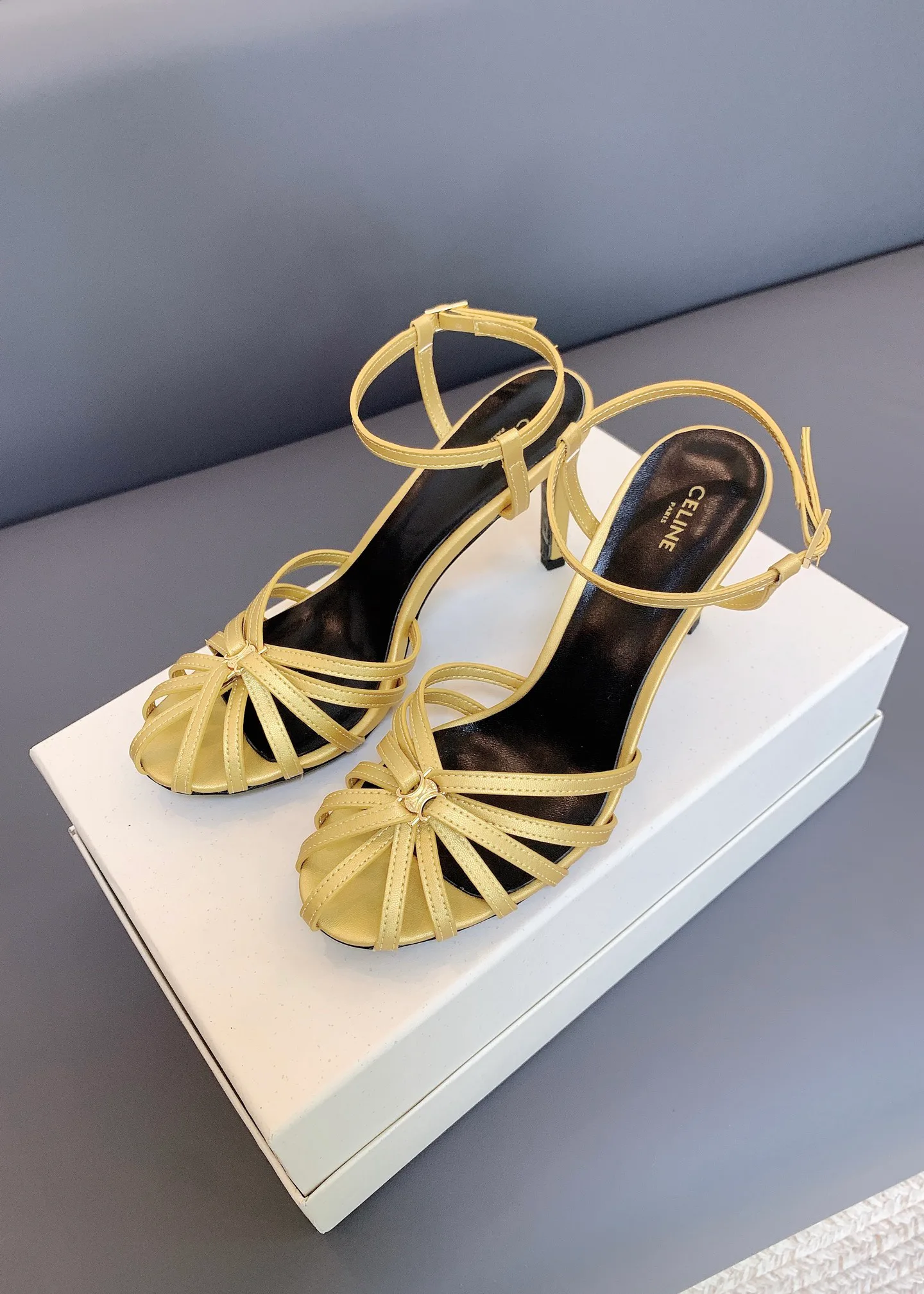 Босоножки Женские Celine 17479007