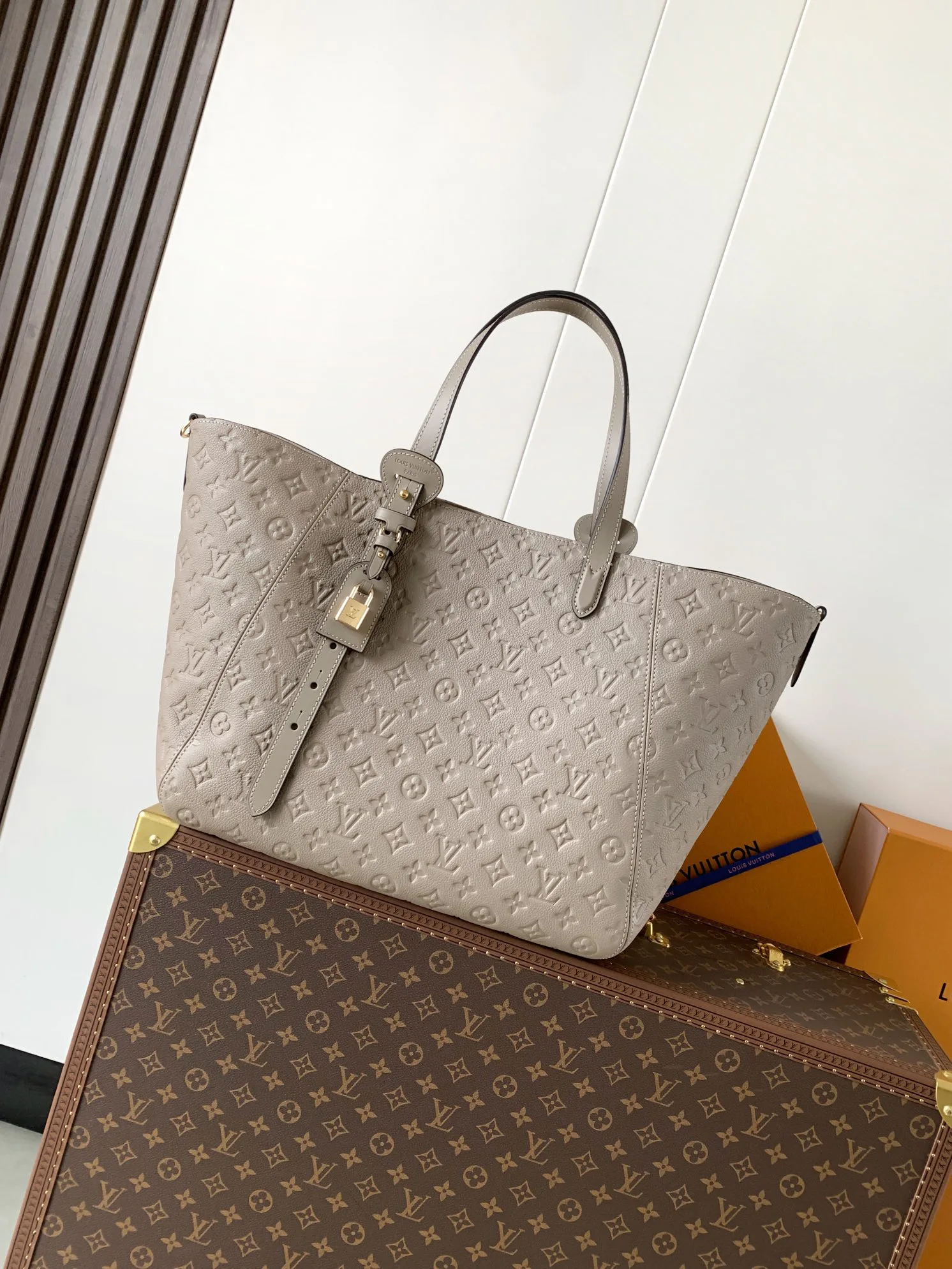 Классические Сумки Женские Louis Vuitton 11872296